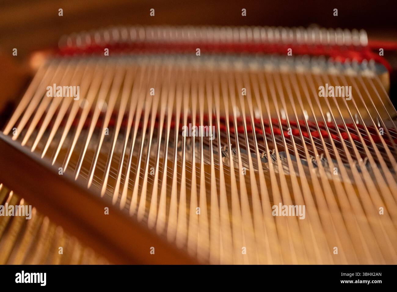 Primo piano di corde per pianoforte che mostrano spille di sintonizzazione e martelli che creano musica meravigliosa Foto Stock