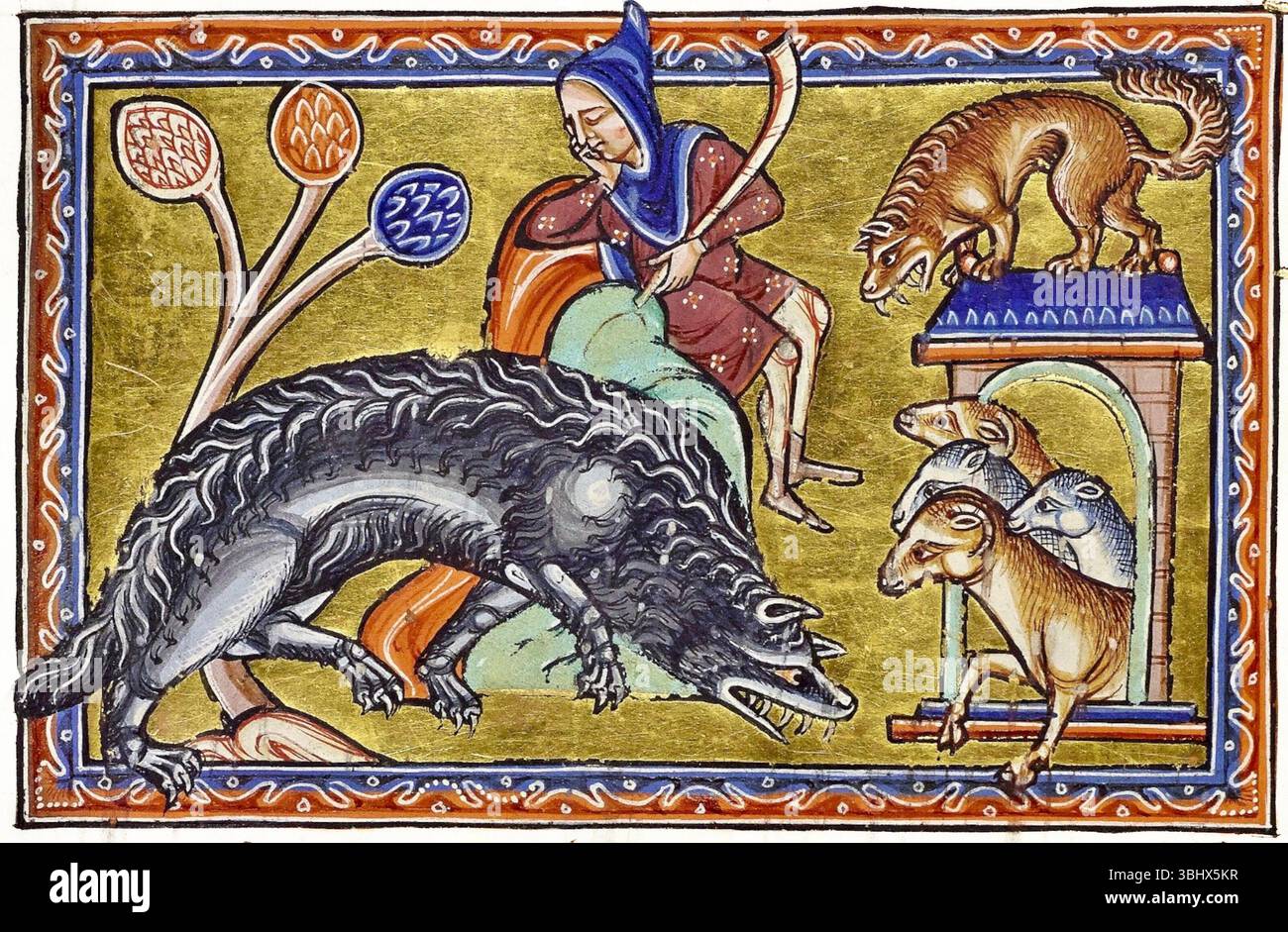 Aberdeen Bestiary - Lupo che sfreccia fino alla piega di pecora - 1542 Foto Stock
