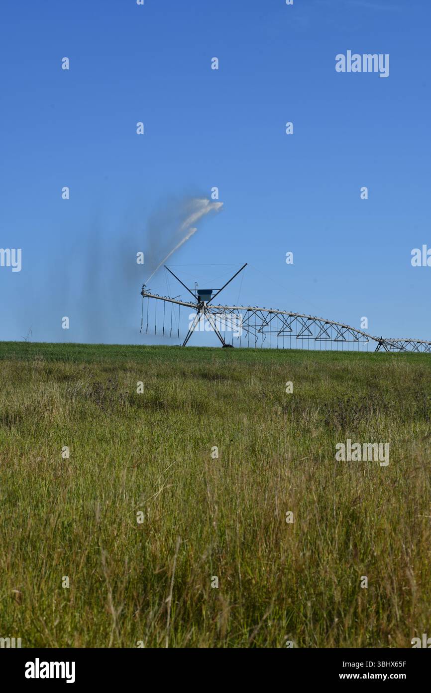 Irrigatore al lavoro in una fattoria nel Queensland rurale, Australia Foto Stock