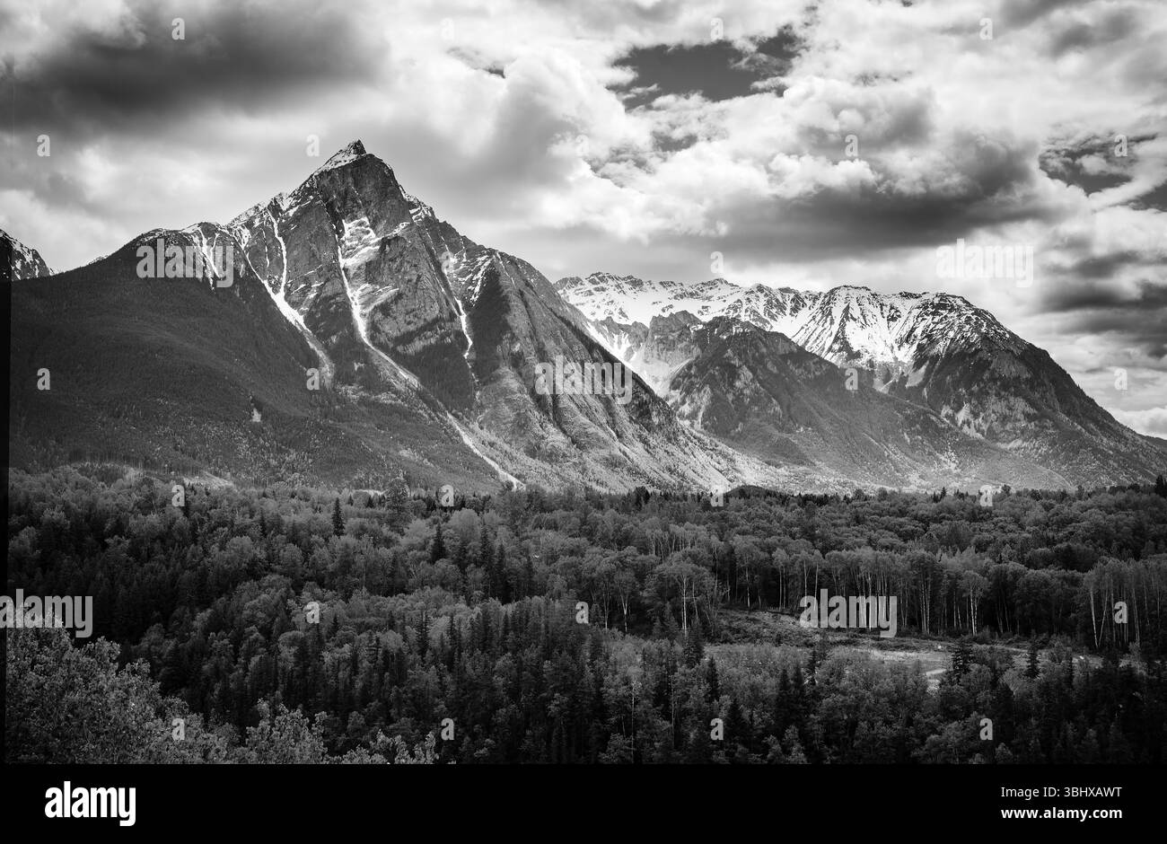Monte Hagwilget, vicino al villaggio di Hazelton, Columbia Britannica, Canada. Immagine in bianco e nero Foto Stock