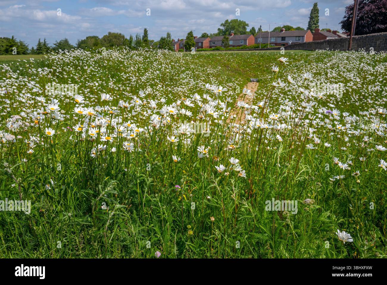 Una resilienza sostenibile in caso di alluvioni, progettata per immagazzinare l'acqua di alluvione al fine di proteggere le comunità di Mansfield, al costo di 76 milioni di sterline. Foto Stock