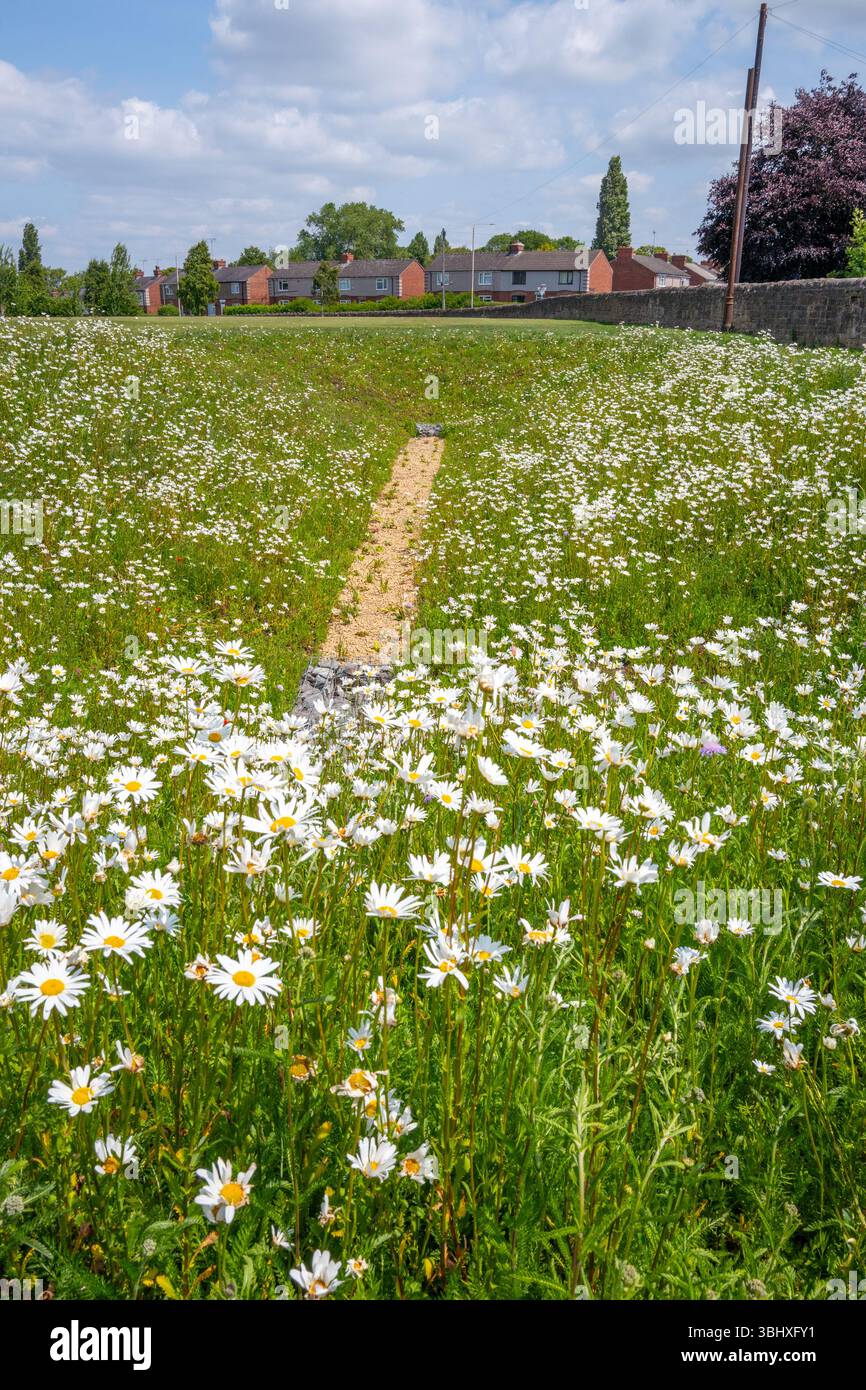 Una resilienza sostenibile in caso di alluvioni, progettata per immagazzinare l'acqua di alluvione al fine di proteggere le comunità di Mansfield, al costo di 76 milioni di sterline. Foto Stock