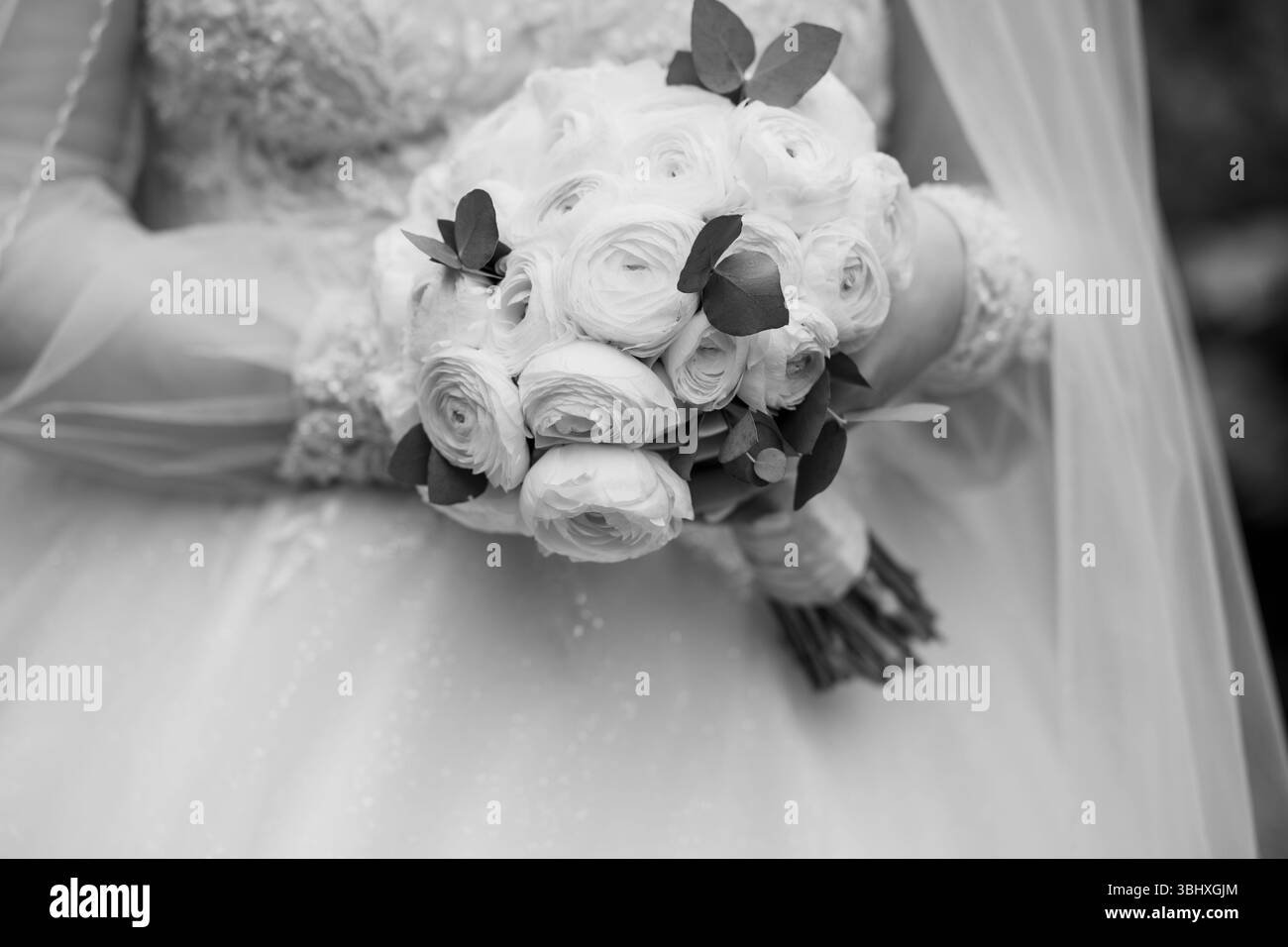 Elegante bouquet nuziale di rose bianche tenuto dalla sposa in abito da sposa, fotografia in bianco e nero Foto Stock