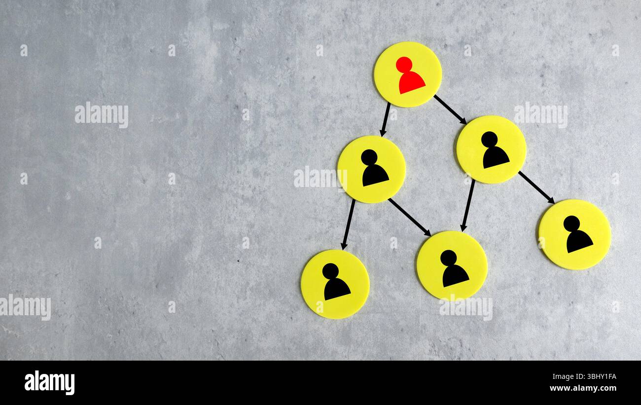 Organigramma gerarchico aziendale di blocchi su sfondo grigio con spazio di copia. Foto Stock