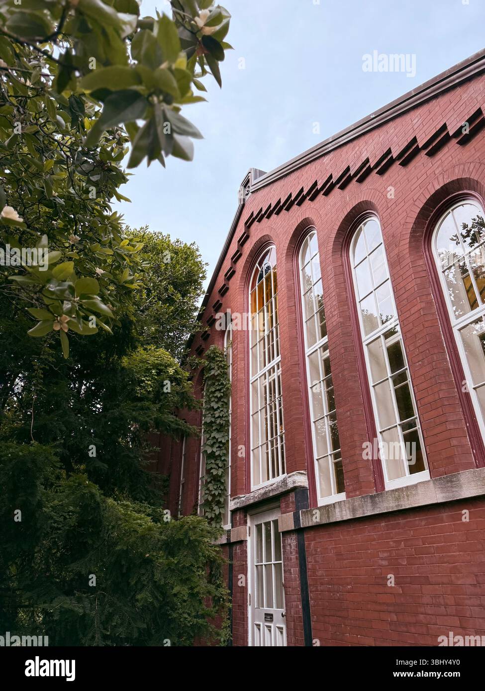 Piper Palm House al Tower Grove Park, St. Louis, Missouri, Stati Uniti - Immagine stock catturata con smartphone