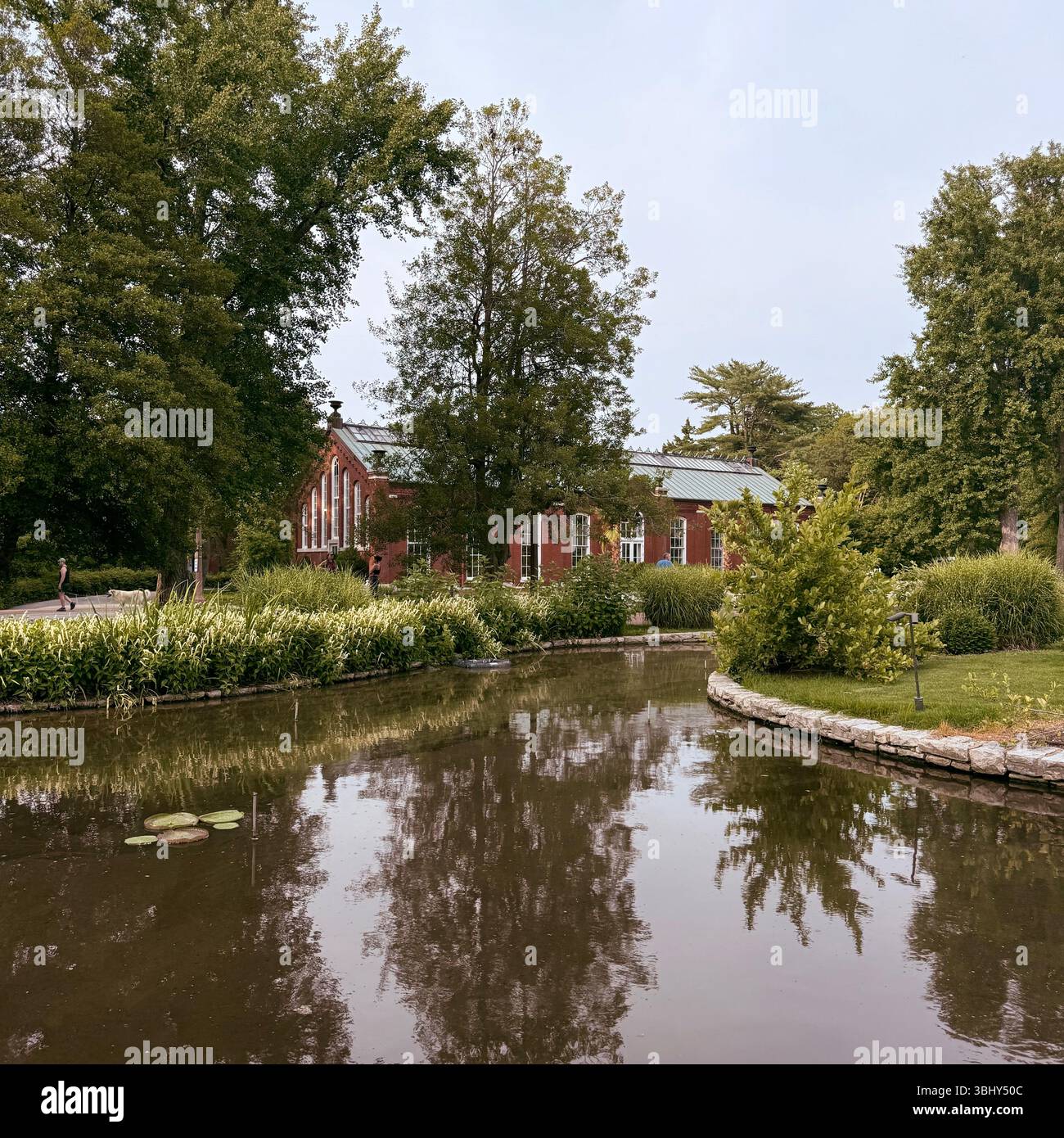 Piper Palm House al Tower Grove Park, St. Louis, Missouri, Stati Uniti - Immagine stock catturata con smartphone