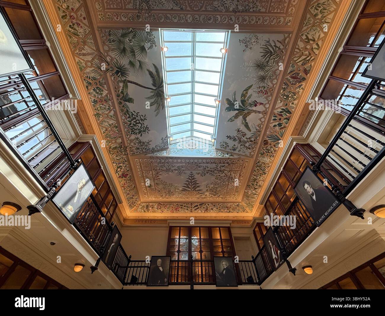 Interno del museo Stephen and Peter Sachs, giardino botanico del Missouri, St. Louis - Immagine stock catturata con smartphone
