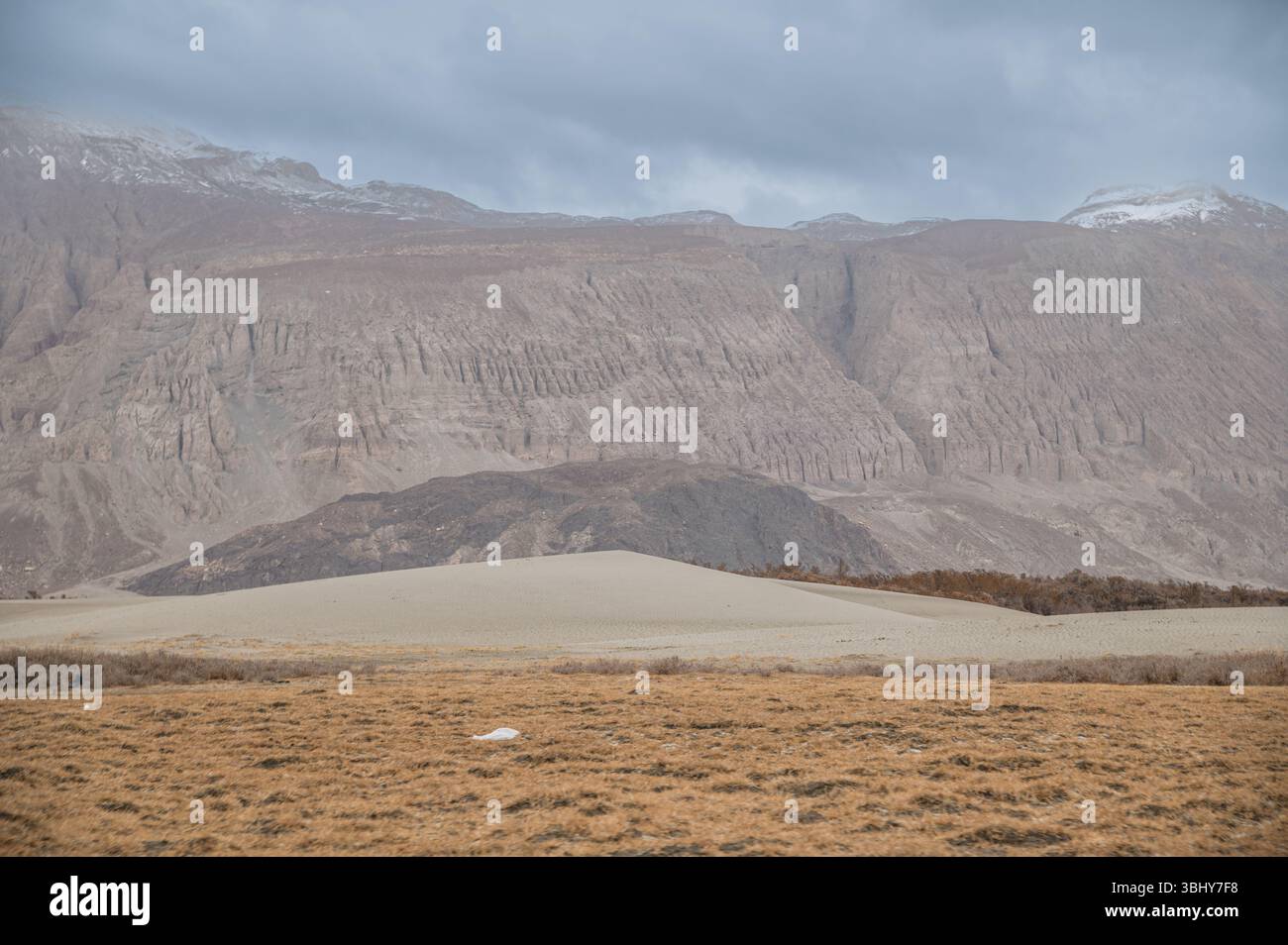 Deserto di Hunder con sabbia bianca, vegetazione gialla, nebbia mattutina e picchi himalayani Foto Stock