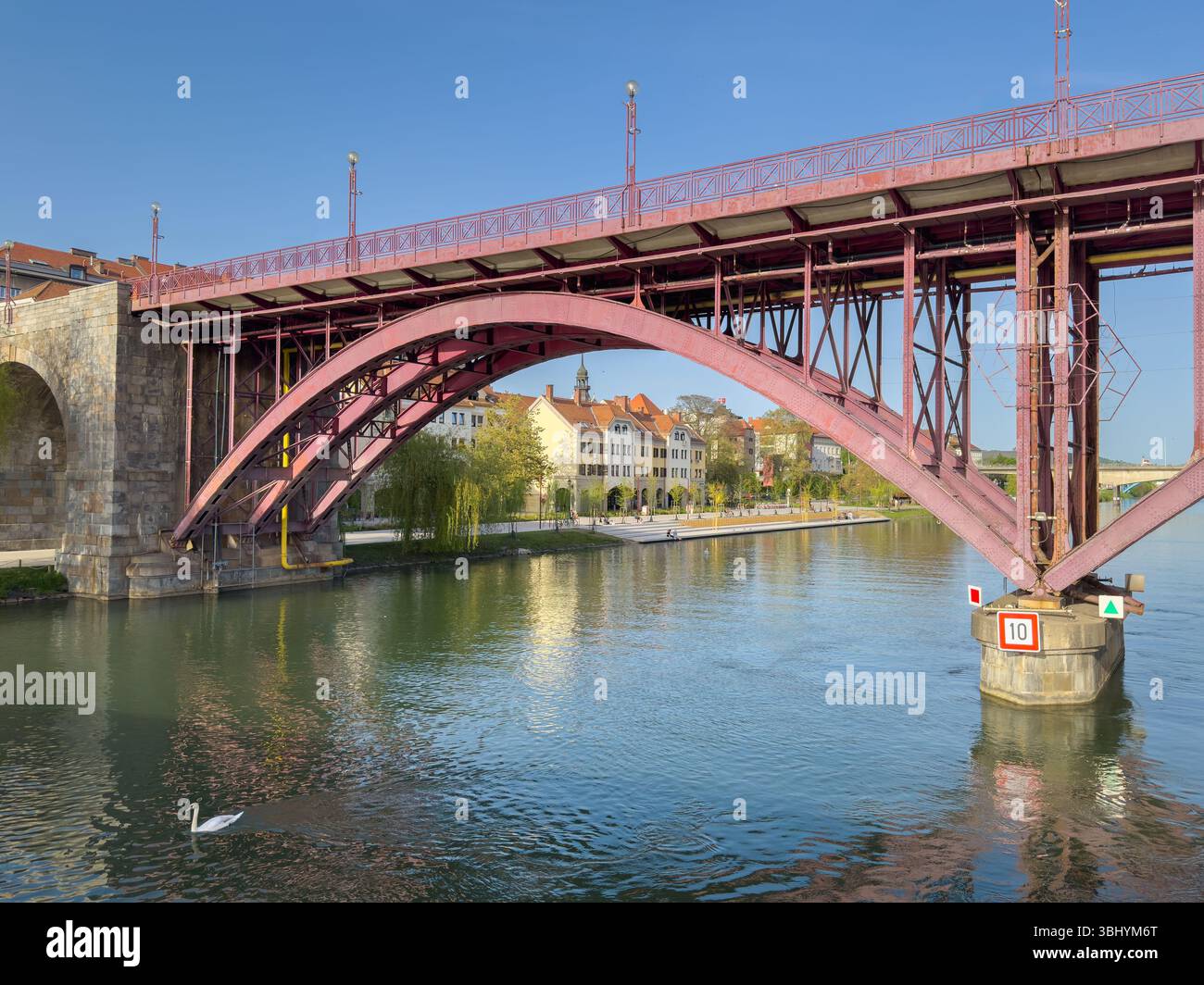 Uno splendido ponte ad arco attraversa il fiume Drava a Maribor, con cigni che scivolano sotto. Foto Stock