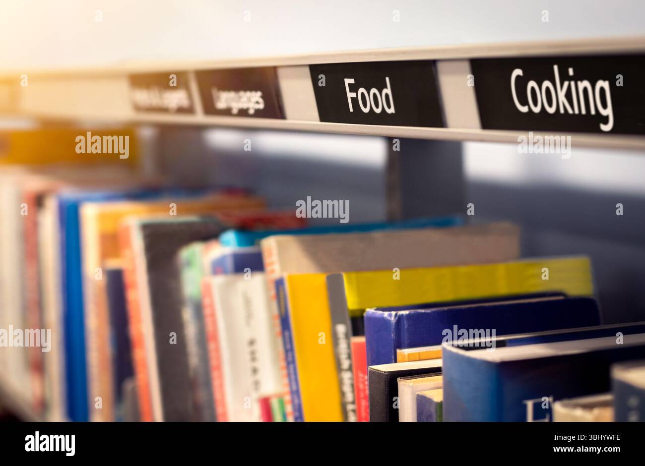 Libri di cucina e libri di cucina con informazioni e idee su ricette e diete. Libreria nella libreria di lettura o nella libreria che raffigura la cucina e la cottura in casa Foto Stock