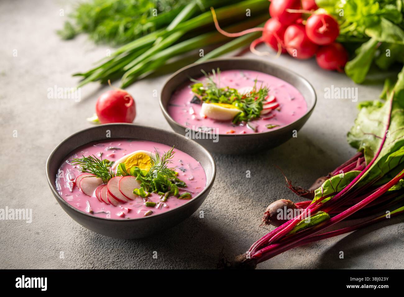 Una vivace zuppa fredda di barbabietole servita in eleganti ciotole, guarnita con erbe fresche, fette di ravanello e una fetta di uovo, sullo sfondo di Foto Stock