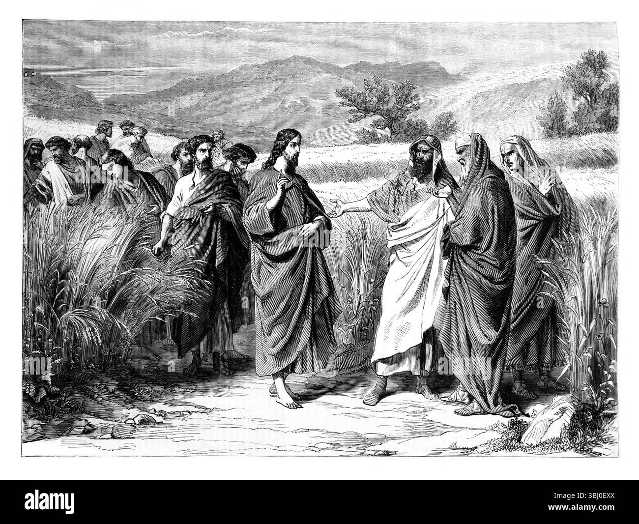 Illustrazione di Gesù Cristo "il figlio dell'uomo è Signore anche del giorno di sabato" Matteo XII.8 dell'Antica Ottocento la Sacra Bibbia contenente l'Ol Foto Stock