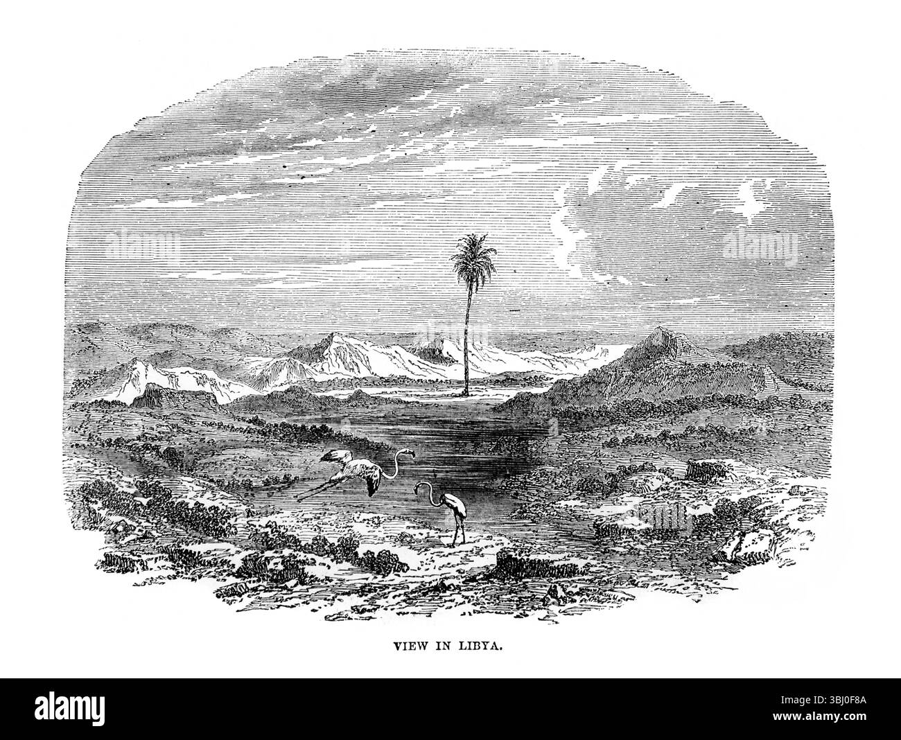Illustrazione di una vista in Libia dall'Antico XIX secolo della Sacra Bibbia contenente l'Antico e il nuovo Testamento con note esplicative, riferimenti e. Foto Stock