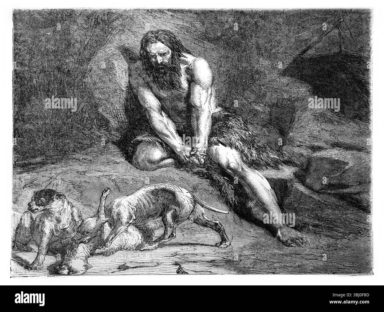 Illustrazione di re Nabucodonosor ridotto alla condizione di una bestia nel campo Daniele IV. 33 dall'Antico XIX secolo la Sacra Bibbia contenente Foto Stock