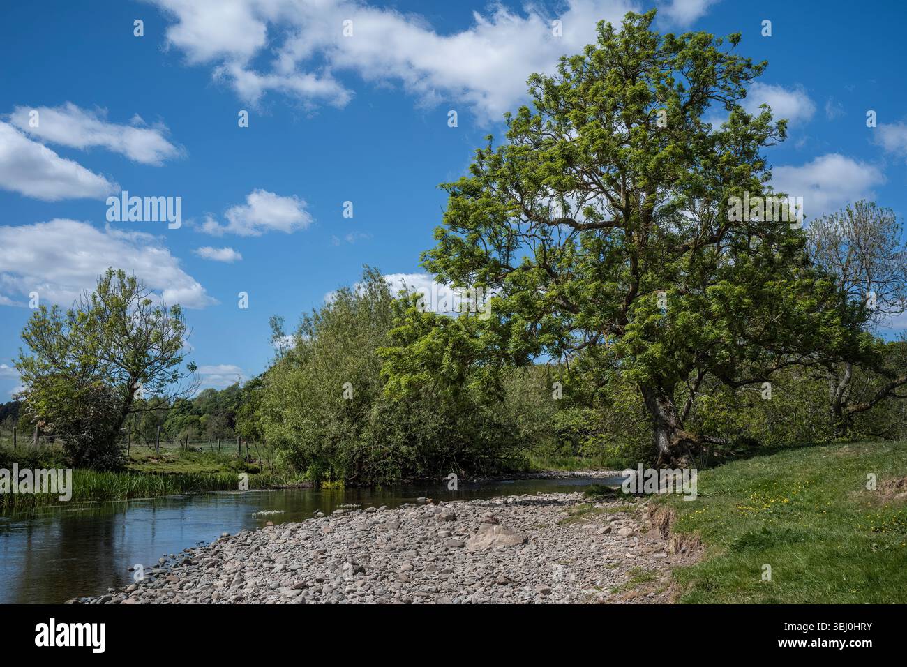 Riduzione del flusso d'acqua nel fiume Eamont durante l'incantesimo della primavera del 2025 Foto Stock