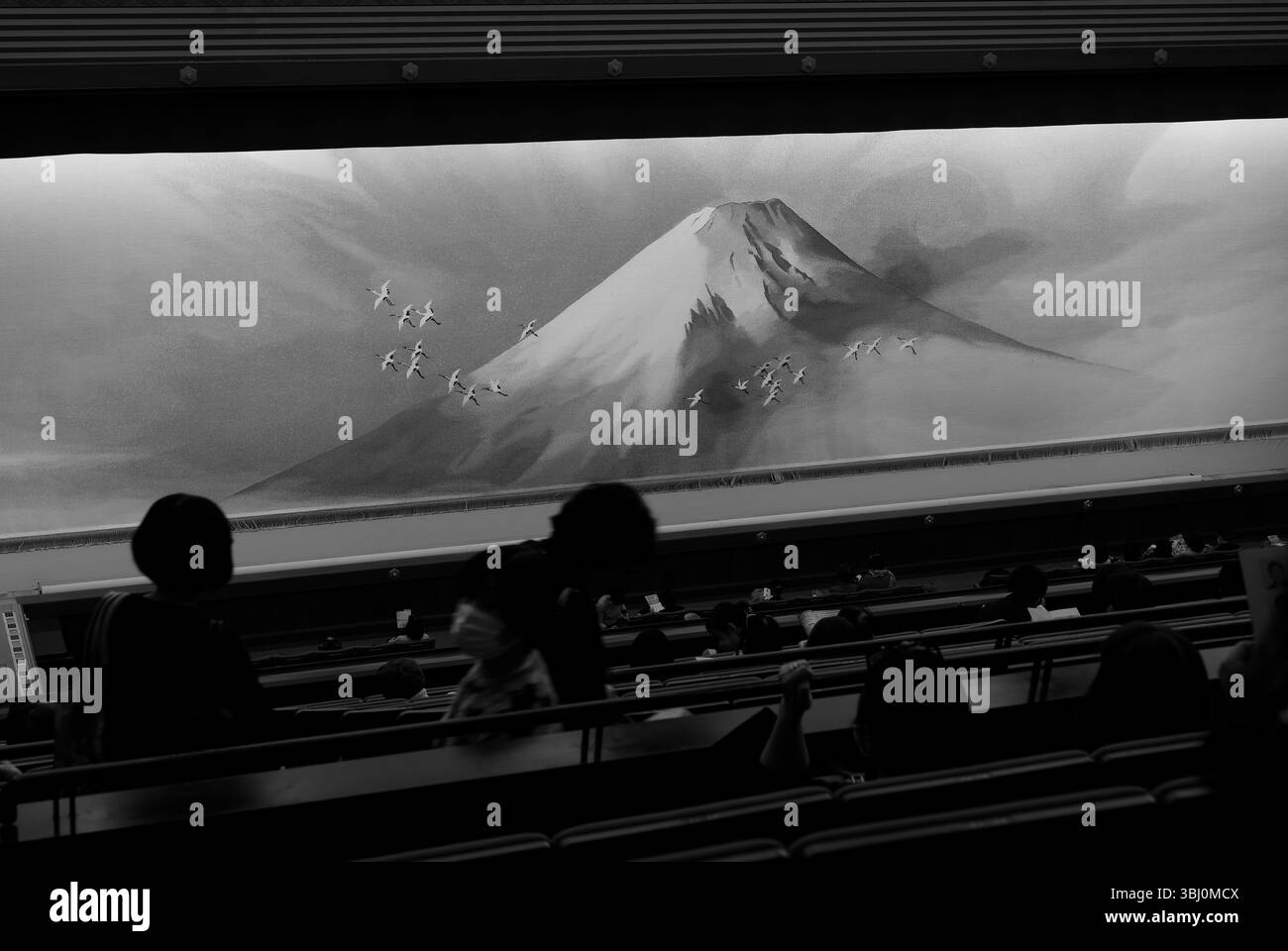 Il pubblico attende con calma attesa mentre la grande tenda imposta il tono all'interno dell'iconico Teatro Kabuki-za Foto Stock