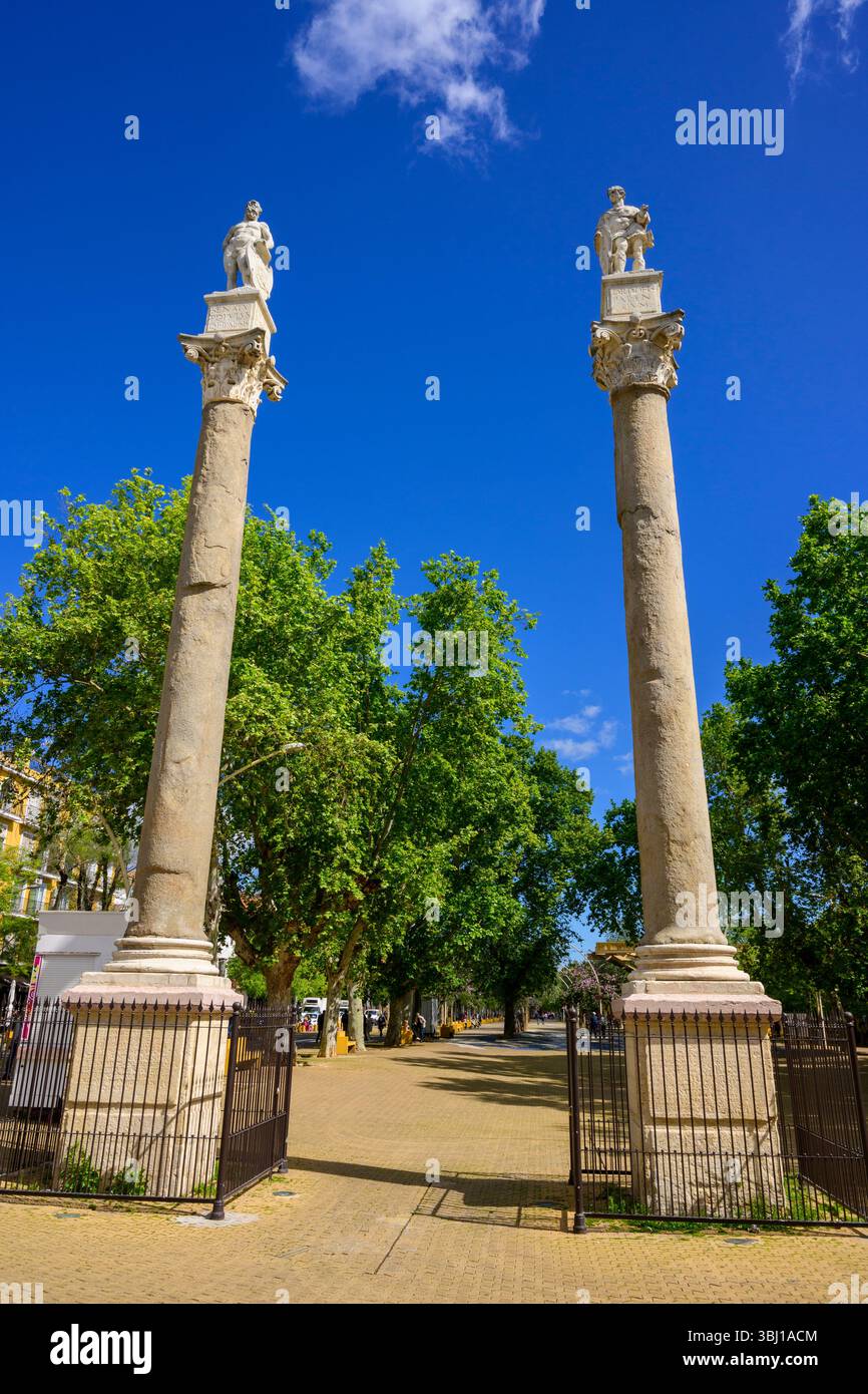 Le colonne di Ercole, Plaza de la Alameda, Siviglia, Andalusia, Spagna. Foto Stock