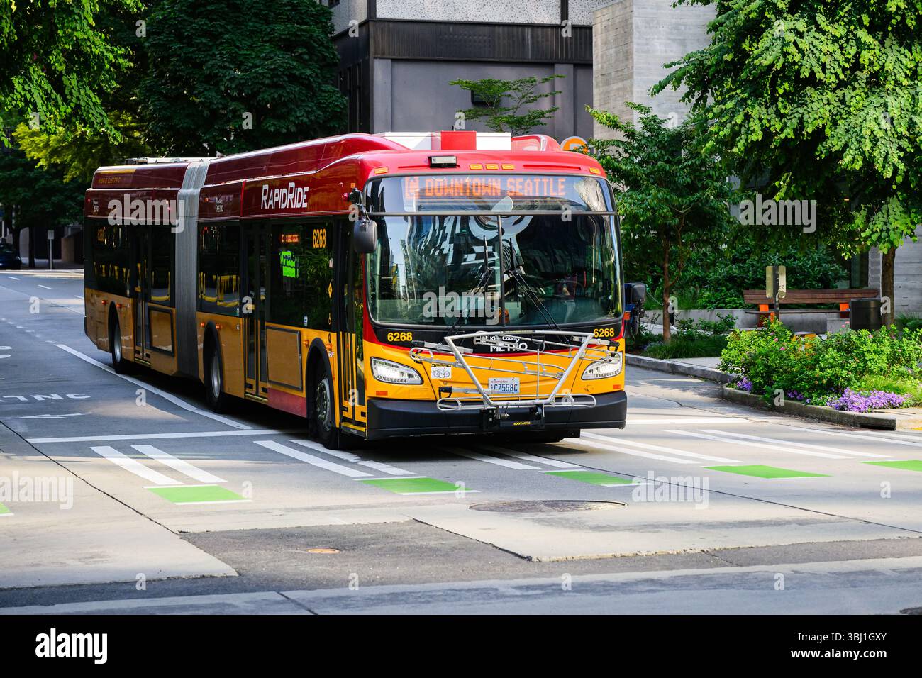 Seattle - 8 giugno 2025; autobus King County Metro Rapid Ride per il centro di Seattle sulla City Street Foto Stock