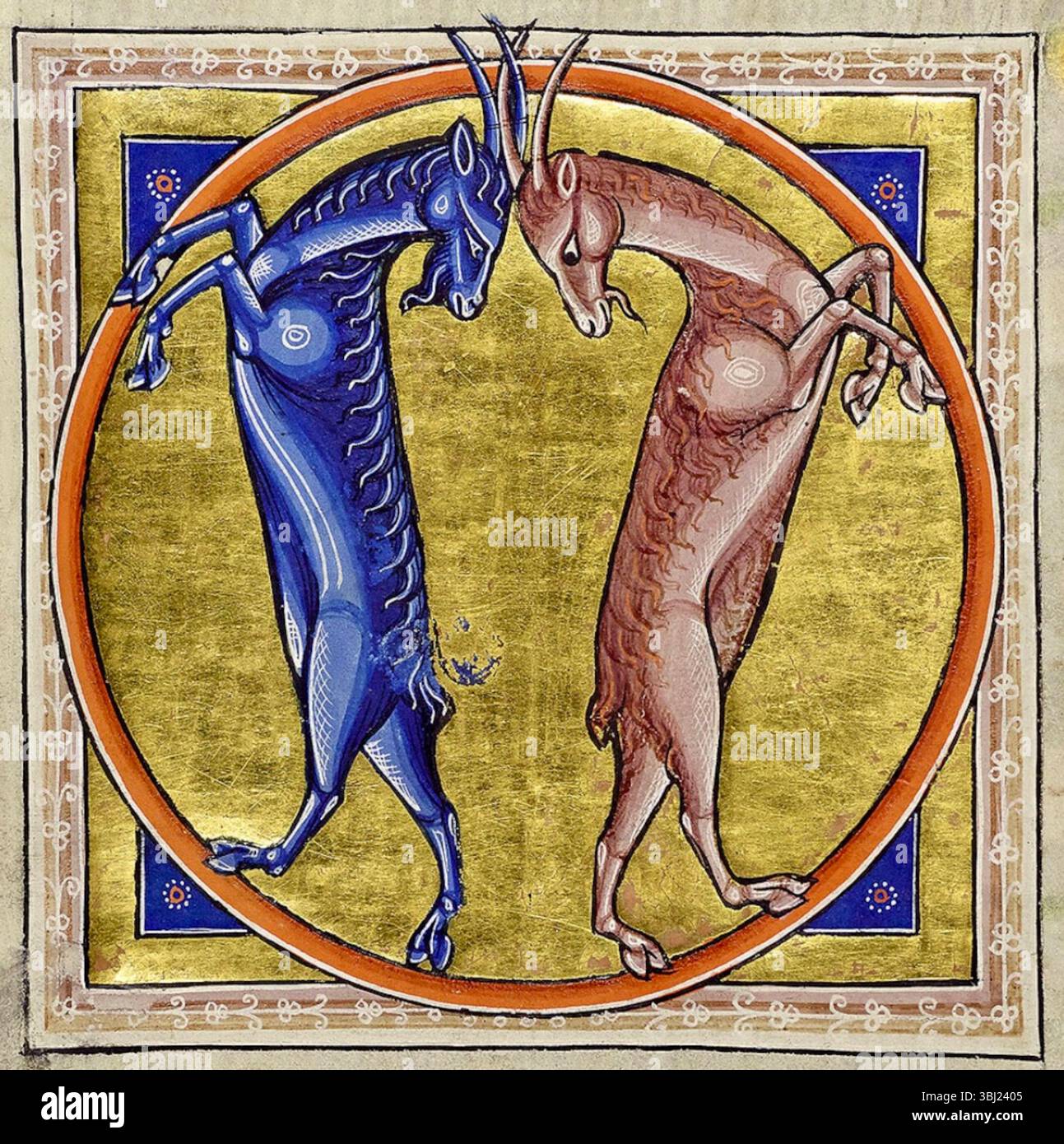Aberdeen Bestiary - Capre selvatiche - 1542 Foto Stock
