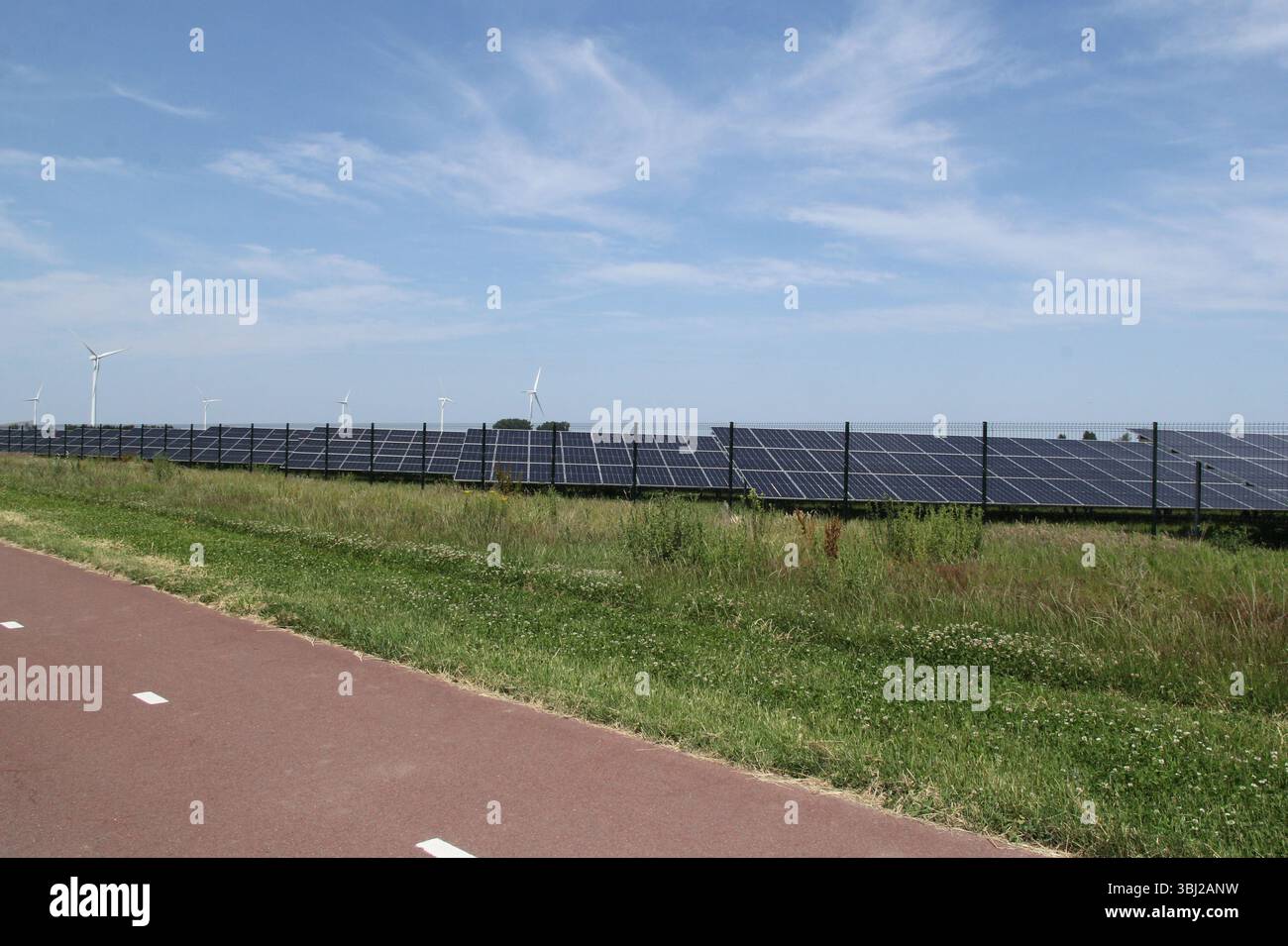 un grande parco solare con pannelli solari per generare energia solare dal sole nella campagna olandese Foto Stock