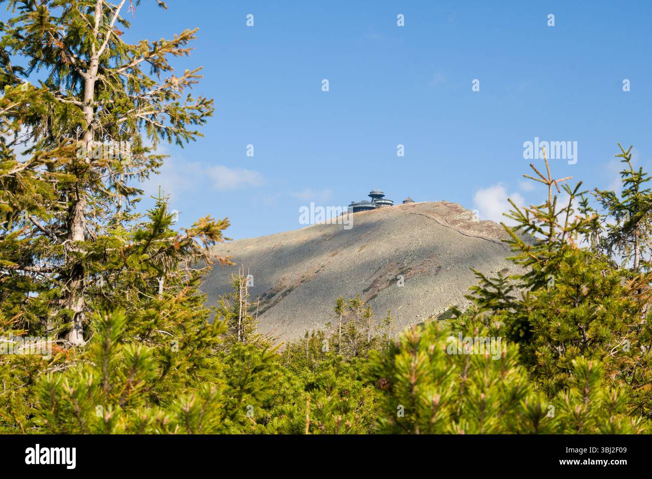 Pino incornicia Sniezka nelle giornate limpide, montagna sullo sfondo. Foto Stock