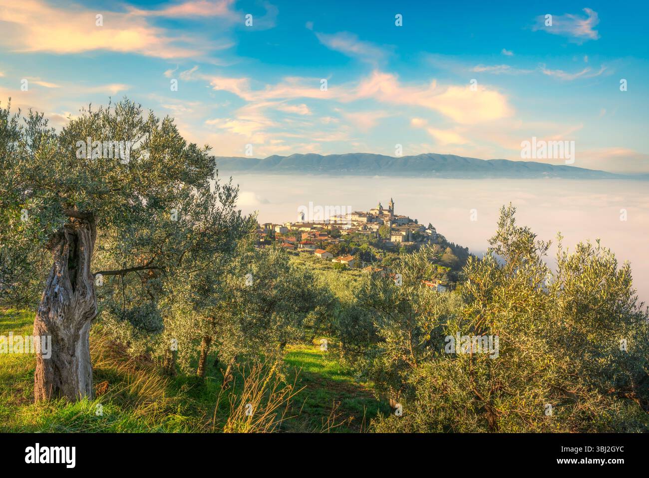 Vista pittoresca del villaggio di Trevi e alberi di ulivo in una mattinata nebbiosa in autunno. Provincia di Perugia, regione Umbria, Italia, Europa Foto Stock