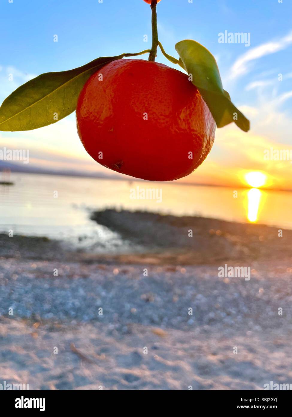 Un'arancia di fronte al lago Havasu, Arizona Foto Stock
