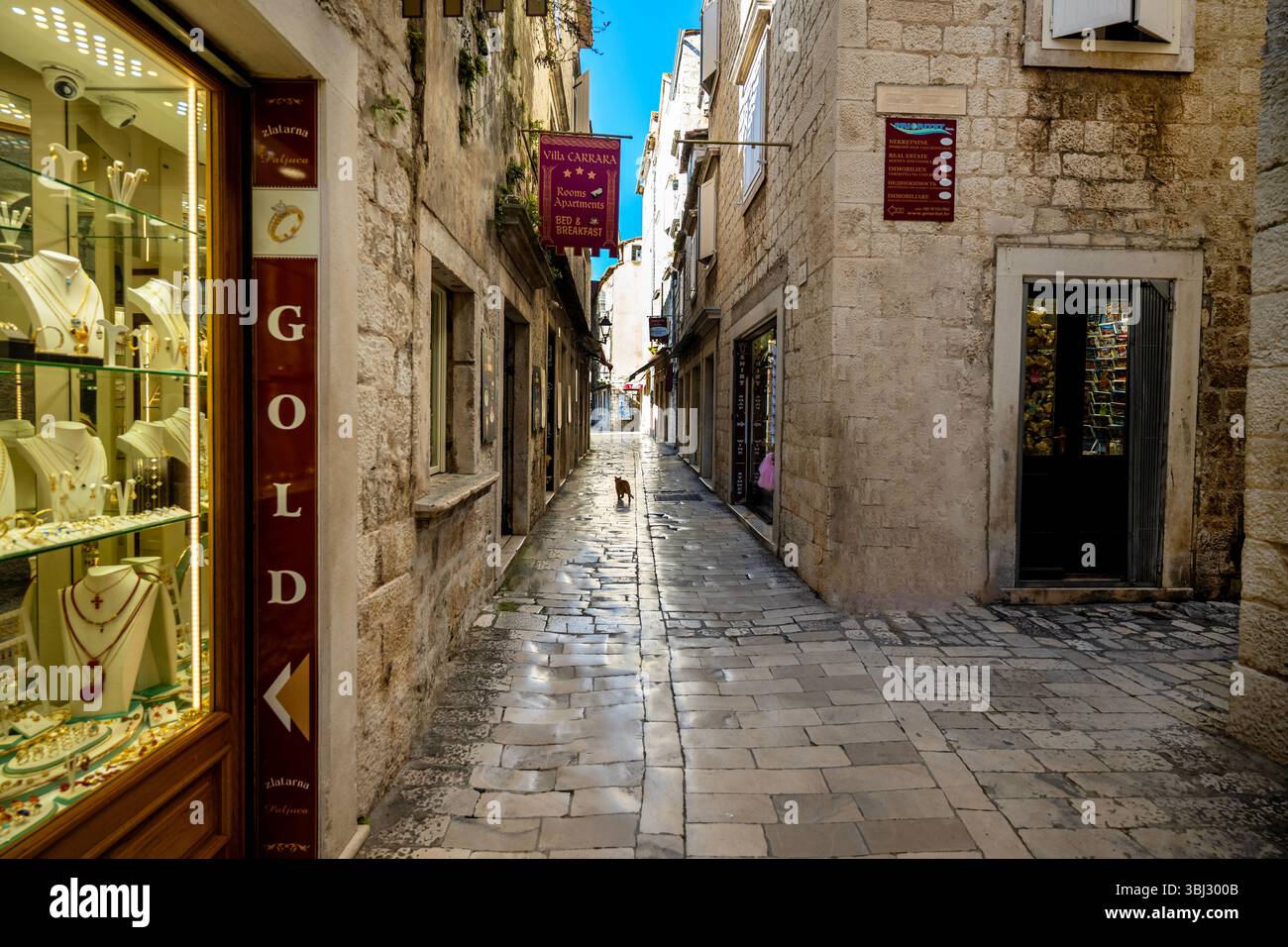 Kitty cammina lungo le antiche strade di Traù, Croazia. Foto Stock