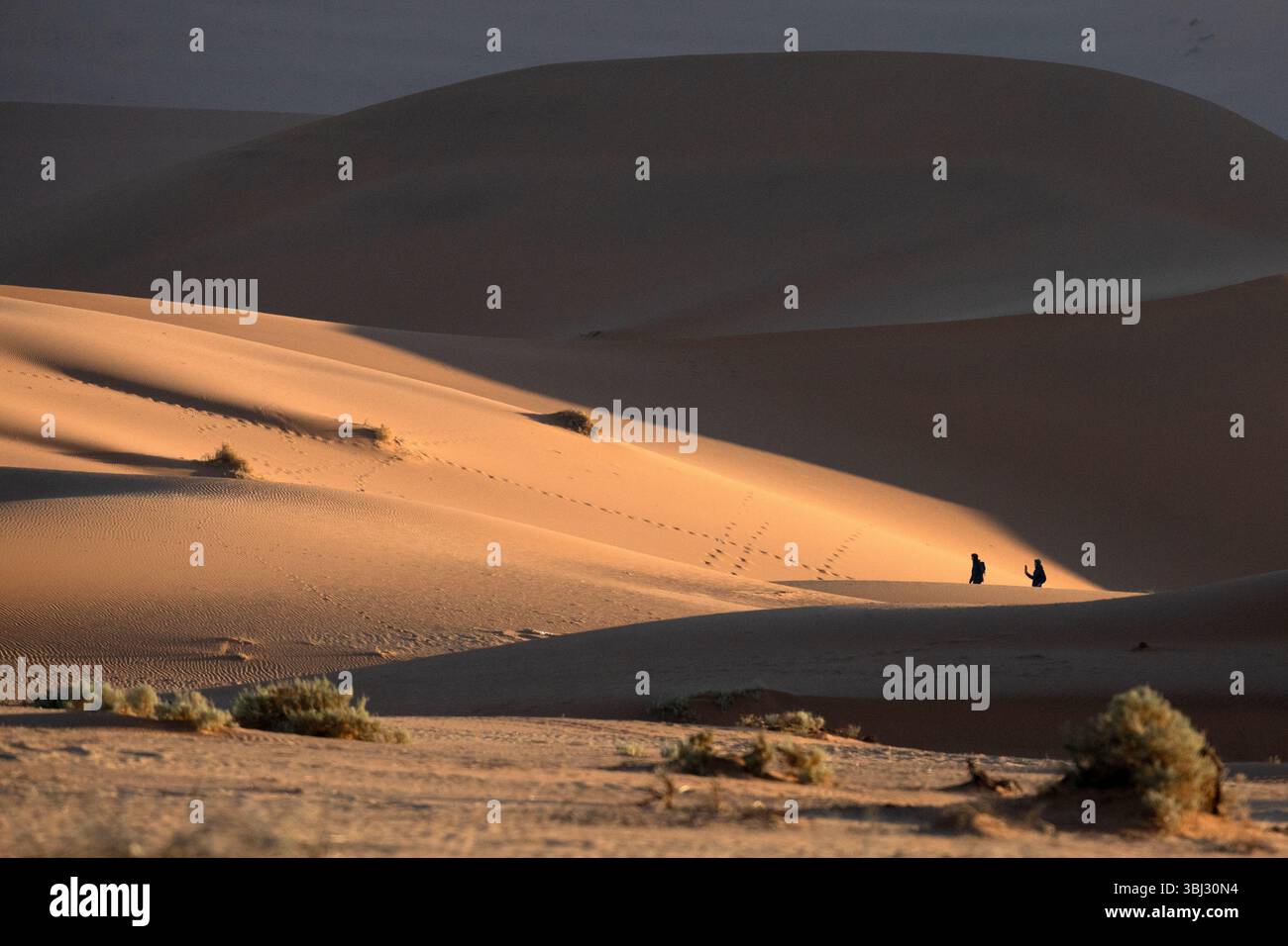 Due persone sono nanizzate dalle dune di sabbia di Sossusvlei, Namib Naukluft National Park, Namibia. Foto Stock