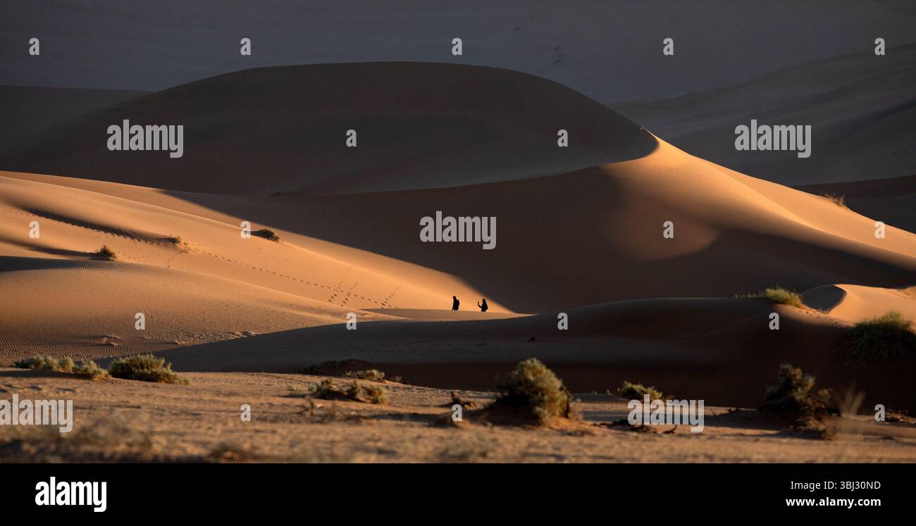 Due persone sono nanizzate dalle dune di sabbia di Sossusvlei, Namib Naukluft National Park, Namibia. Foto Stock