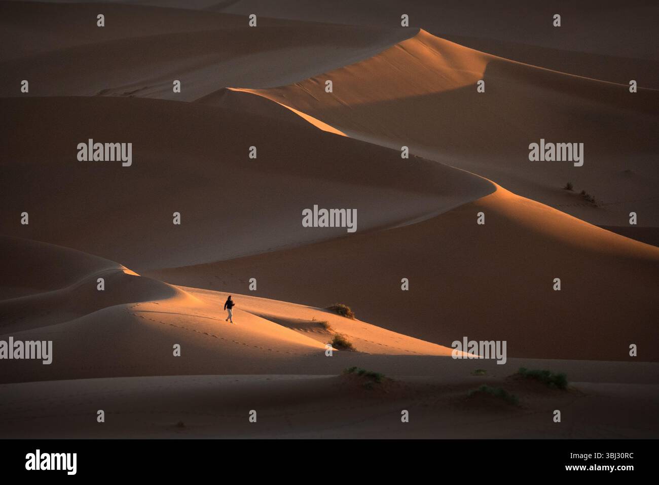 Una figura solitaria è ambientata in scala nelle grandi dune di sabbia rossa di Sossusvlei, Namib Naukluft National Park, Namibia all'alba. Foto Stock