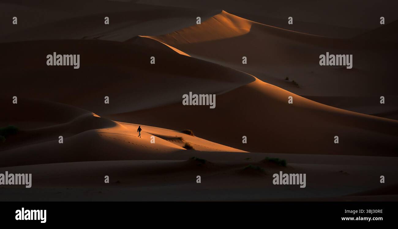 Una figura solitaria è ambientata in scala nelle grandi dune di sabbia rossa di Sossusvlei, Namib Naukluft National Park, Namibia all'alba. Foto Stock