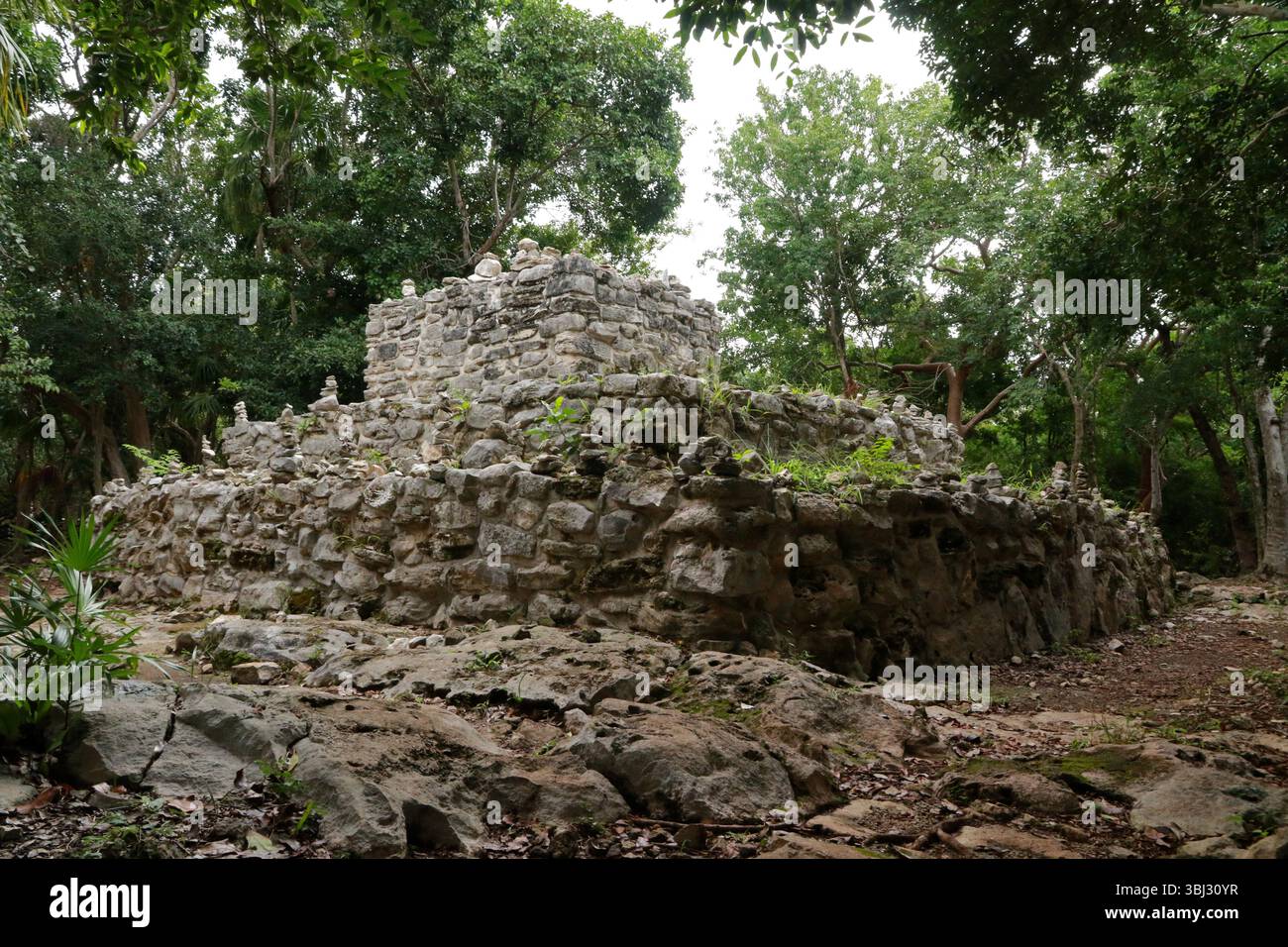 Rovine del tempio della piramide Maya a Playa del Carmen, Messico Foto Stock