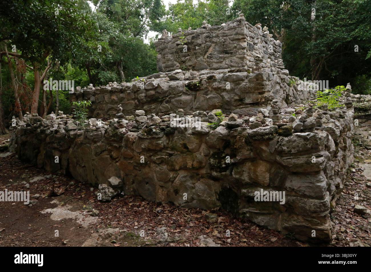Rovine del tempio della piramide Maya a Playa del Carmen, Messico Foto Stock