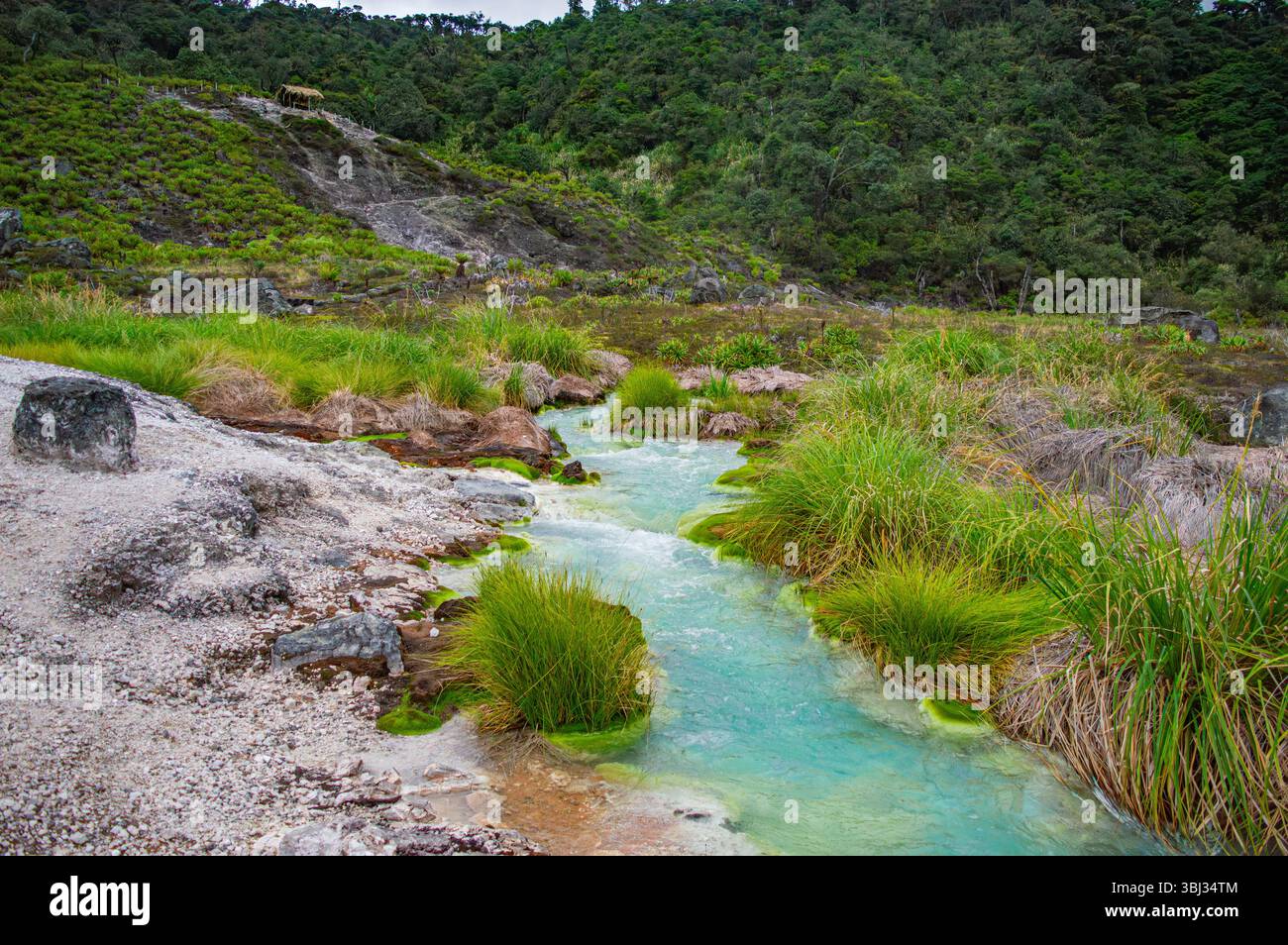 Splendido paesaggio delle sorgenti termali di San Juan a Puracé, Cauca, con acque color smeraldo e vegetazione lussureggiante, perfetto per il relax e il turismo naturalistico. Foto Stock