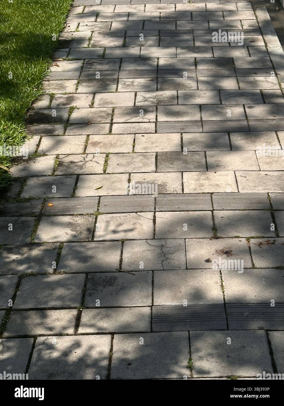 Dove la luce incontra l'ombra: Una danza del contrasto Foto Stock