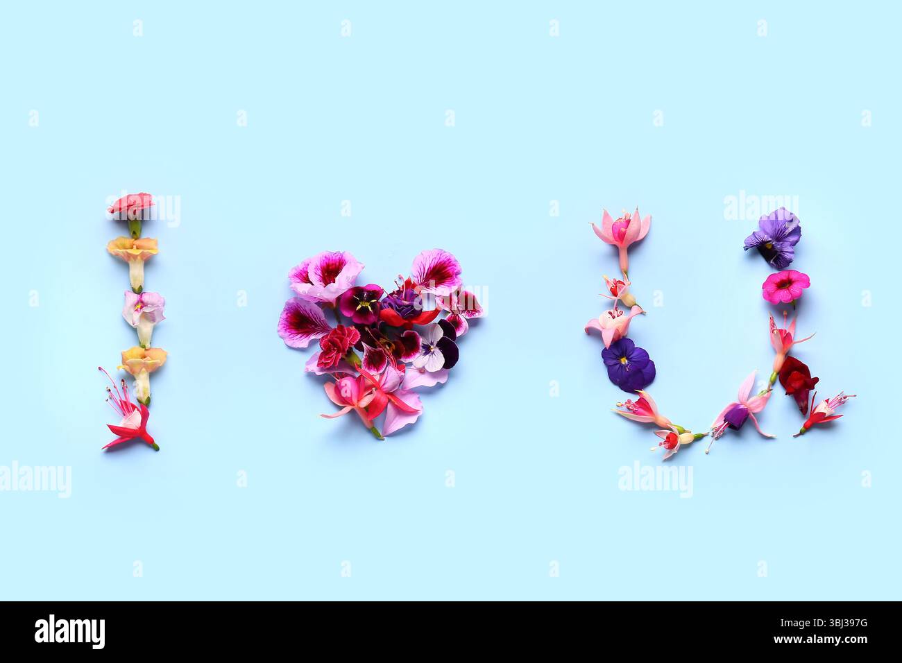 Testo i LOVE U fatto di bellissimi fiori commestibili su sfondo blu Foto Stock