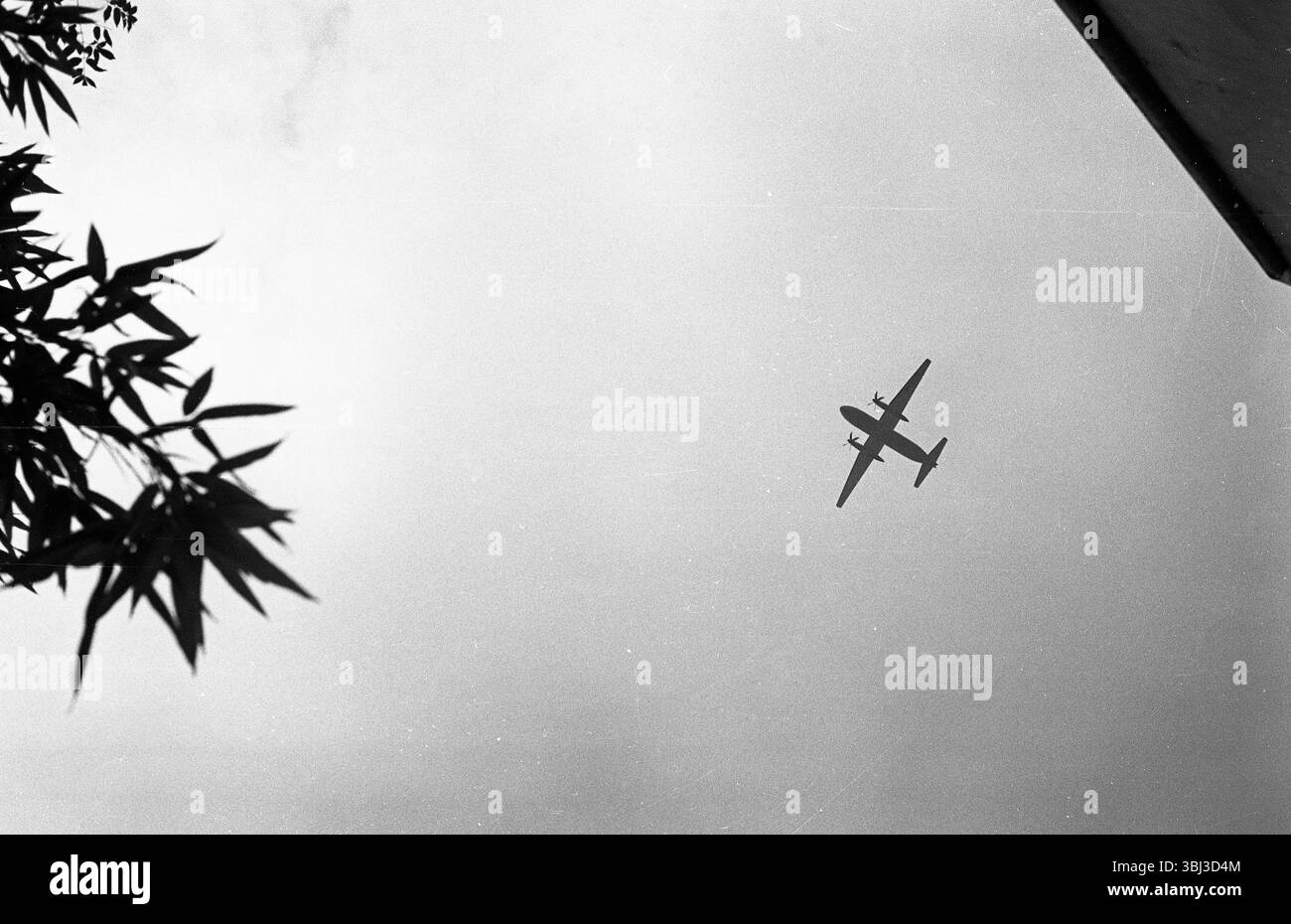 Aereo da trasporto cinese Y-7 in volo sopra la testa, foto minimalista in bianco e nero Foto Stock