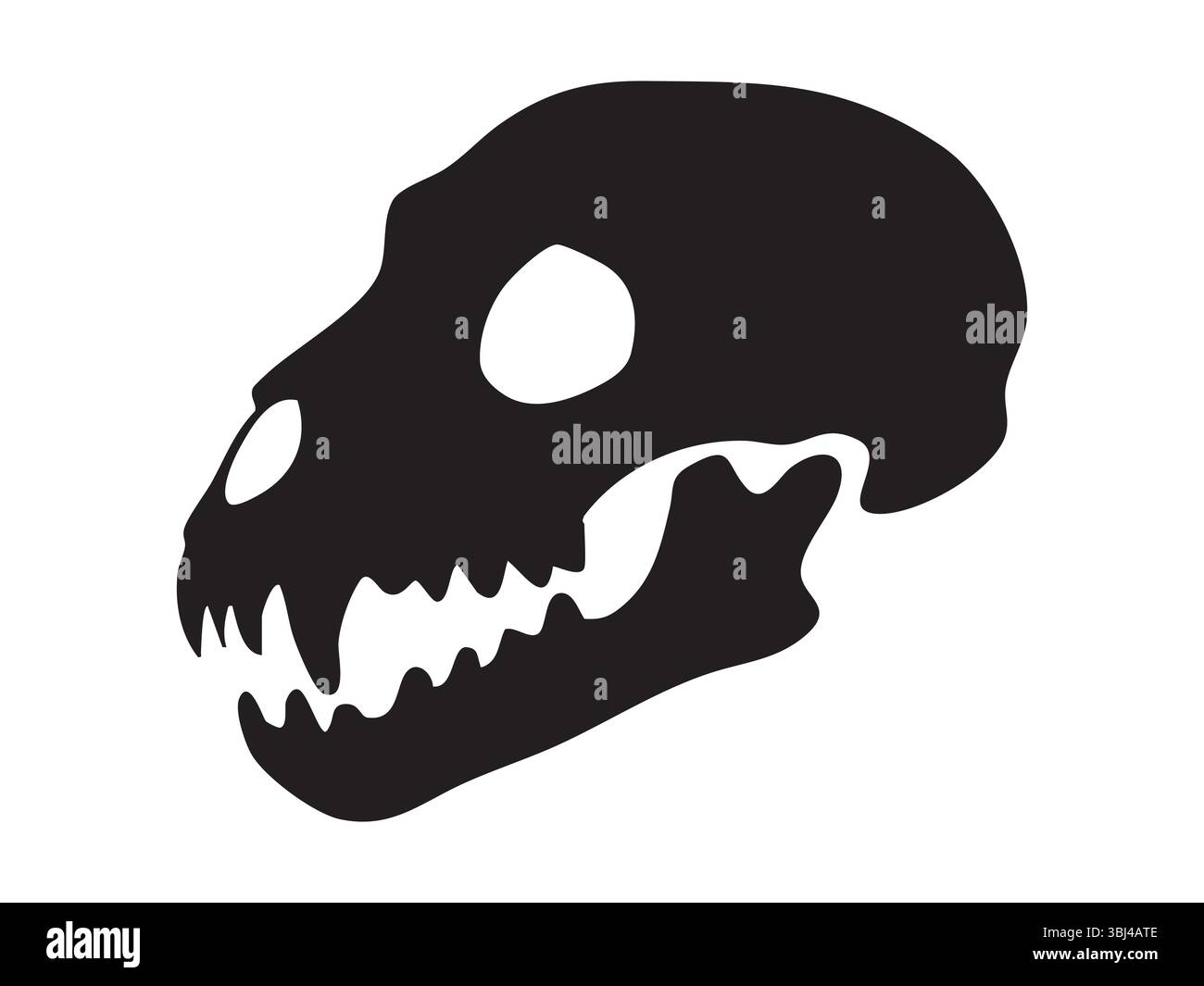 Silhouette nera di un cranio di gatto con denti affilati, isolata su sfondo bianco, illustrazione grafica. Concetto di anatomia felina, design horror, gotico Illustrazione Vettoriale