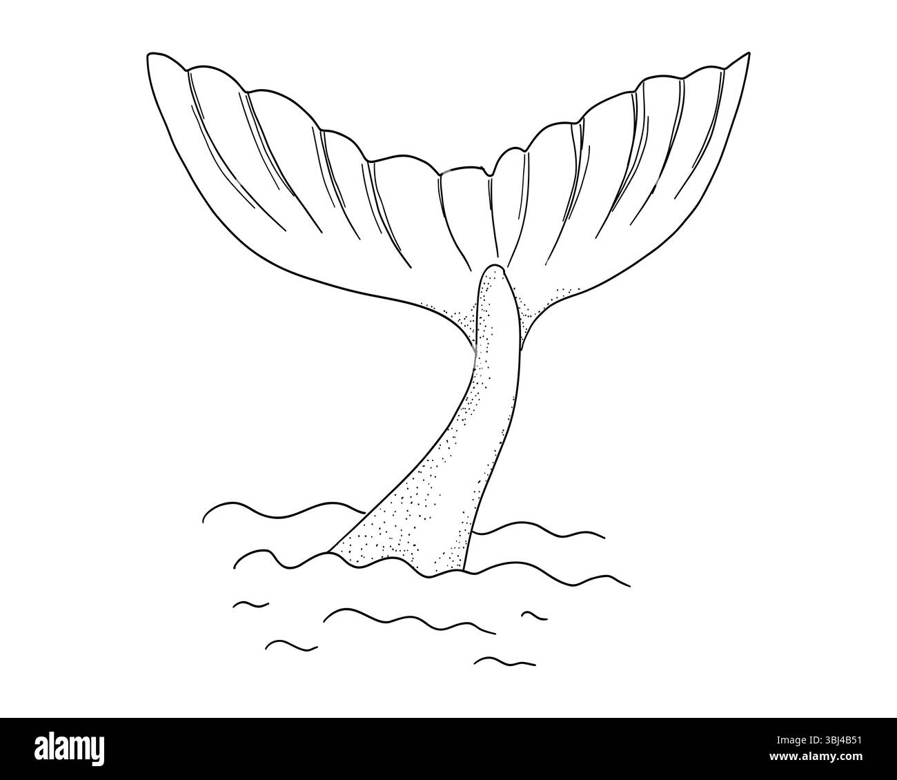 Coda di balena texture a punti retrò con cerchi di spruzzi d'acqua linea delle stelle disegna un tatuaggio geometrico minimale. Sirena o mammifero oceanico con onde vintage. Illustrazione vettoriale Illustrazione Vettoriale