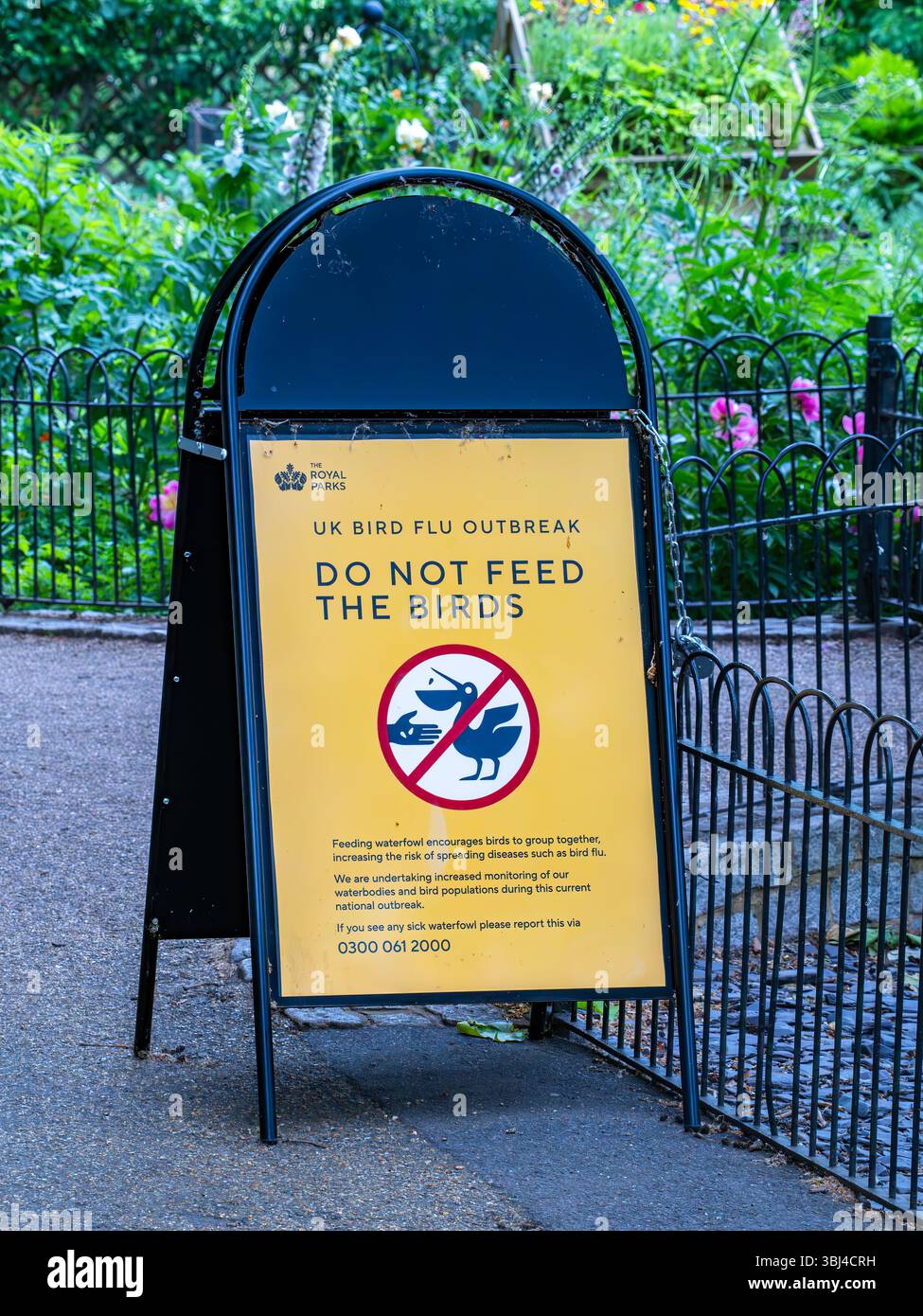 Londra, Regno Unito - 26 maggio 2025: Un segnale di avvertimento contro l'alimentazione degli uccelli a causa di un focolaio di influenza aviaria nel Regno Unito. Foto Stock Londra, Regno Unito - 26 maggio 2025: Un segnale di avvertimento contro l'alimentazione degli uccelli a causa di un focolaio di influenza aviaria nel Regno Unito. Foto Stock