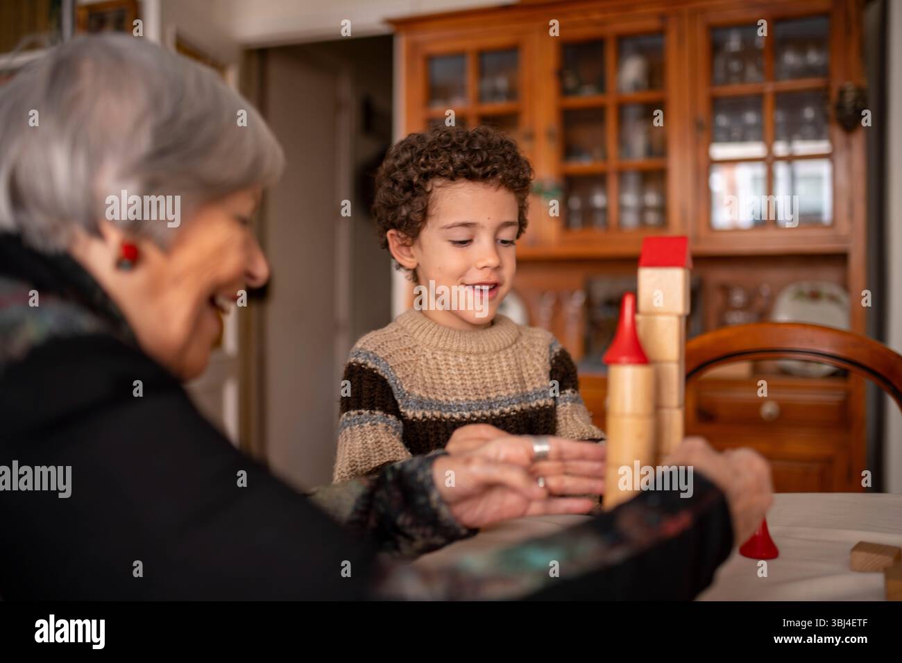 Nonna e nipote stanno costruendo un castello giocattolo insieme a blocchi di legno, condividendo un momento speciale di amore e connessione Foto Stock