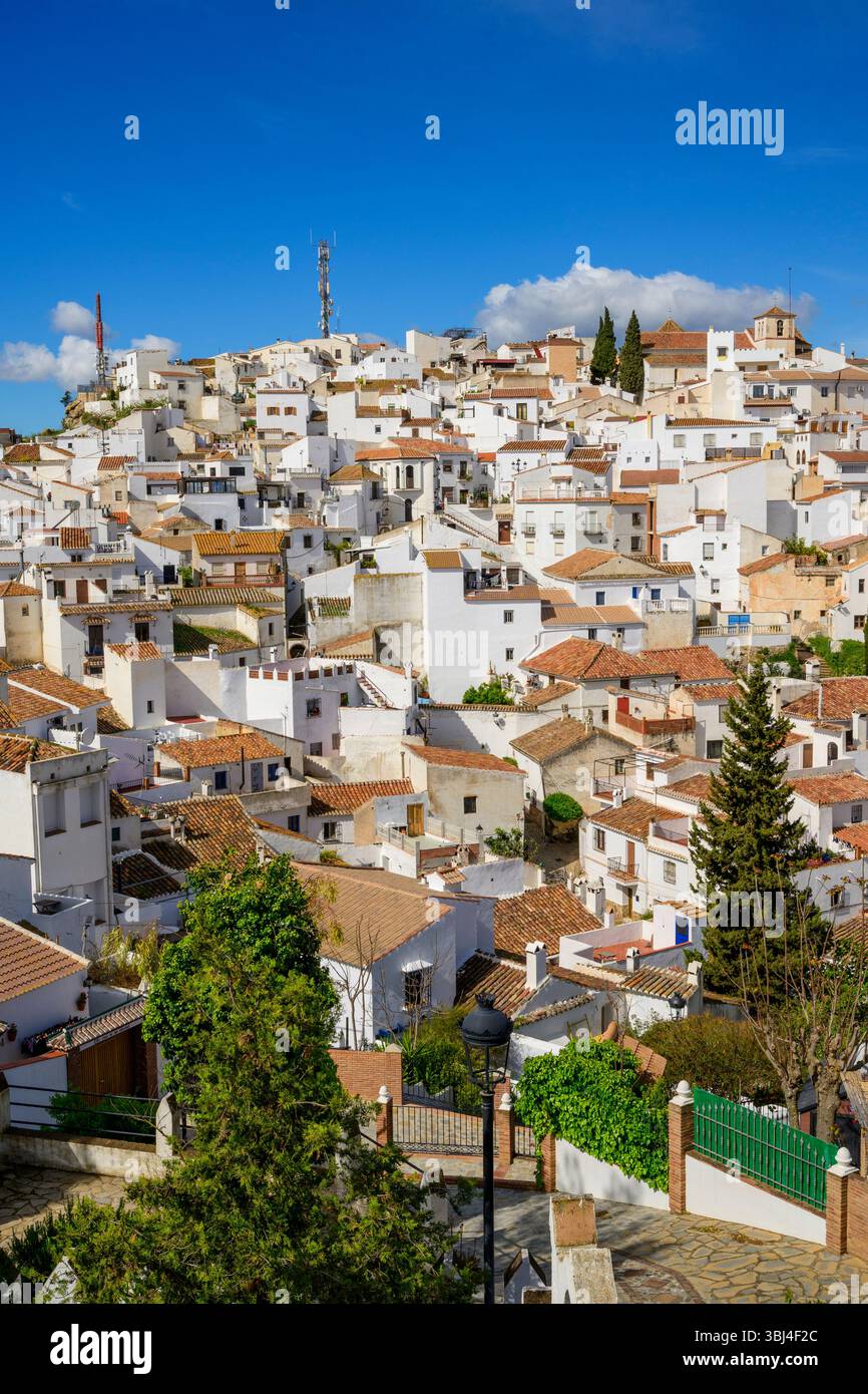 Comares un pueblo blanco (villaggio bianco in cima a una collina) in Andalusia, Spagna. Foto Stock