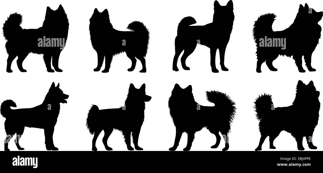 Laika, pomerania spitz, husky in pose diverse. Silhouette di razza cane Illustrazione Vettoriale