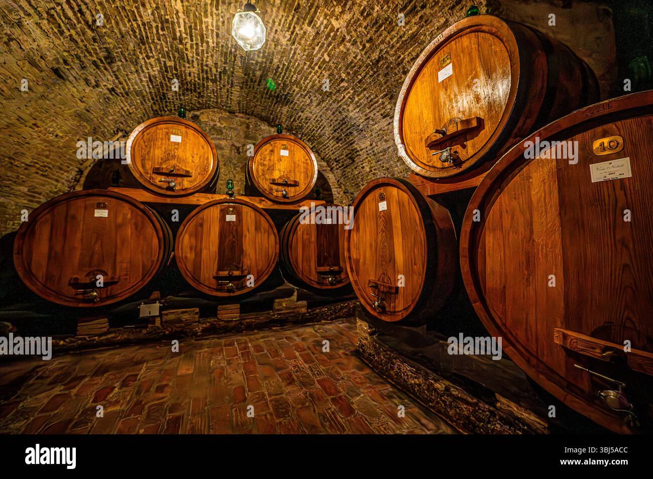 Grandi botti di vino in legno riposano in una cantina toscana calda e poco illuminata, che mette in mostra i ricchi toni di marrone e la maestria artigianale della vinificazione italiana. Foto Stock
