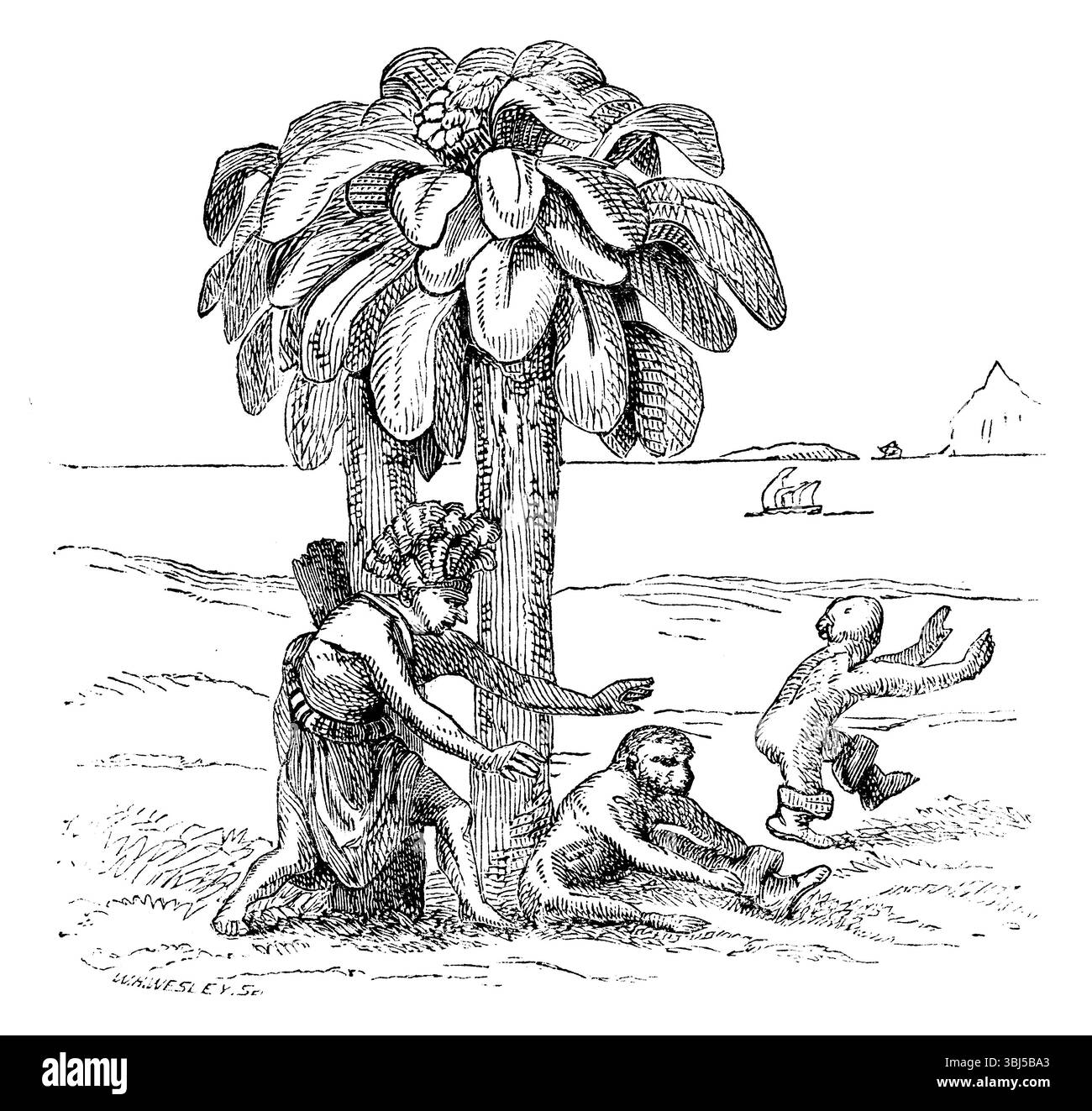 Scimmie sulle rive dello Zaire, 1598, (1863). 'Simi&#xe6; [Simiae] magnatum delici&#xe6; [deliciae', (le scimmie sono la gioia dei ricchi). Da "Evidence as to man's Place in nature" di Thomas Henry Huxley. [Londra, 1863] Foto Stock