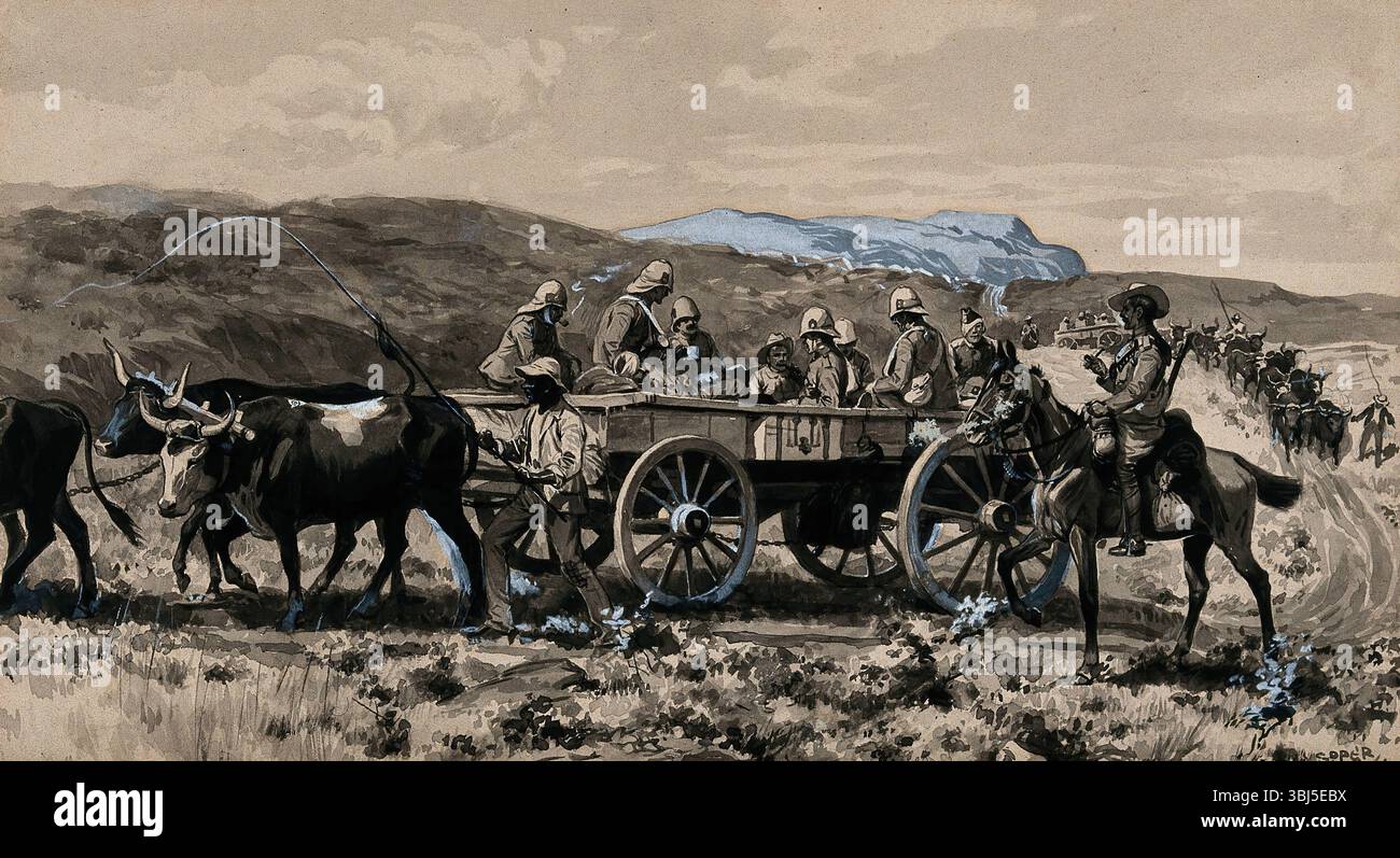 Guerra boera: Uomini feriti trasportati in un carrello di ambulanza trainato da buoi, 1900. Foto Stock