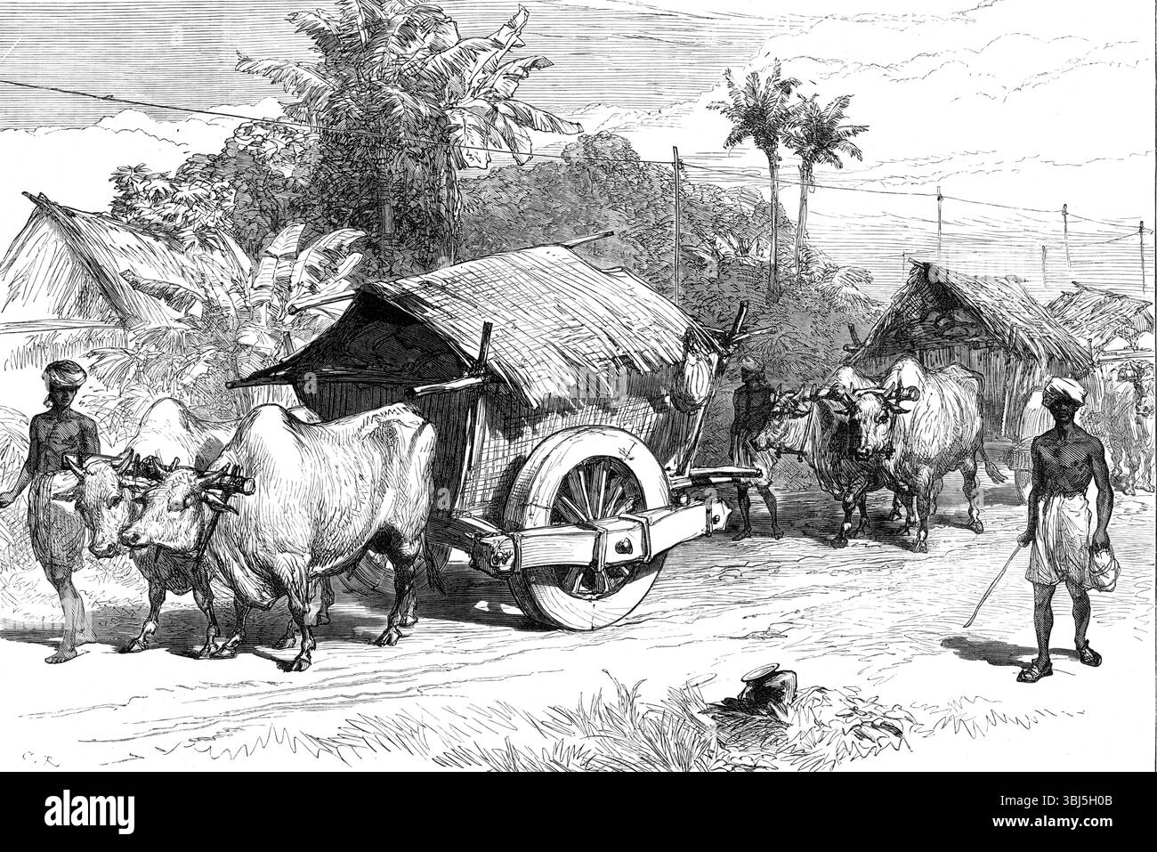 La carestia nel Bengala: bullock Hackeries for Carry Grain, 1874. "I rapporti telegrafici di questa settimana da Calcutta ci dicono che le operazioni di soccorso del governo sono davanti alla carestia ovunque, tranne che in porzioni di Tirhoot, dove si sta recuperando anche il terreno perduto. Si afferma che 120.000 tonnellate di grano governativo sono state immagazzinate nei distretti della carestia, e 80.000 tonnellate sono in transito, le ferrovie trasportano 35.000 tonnellate al giorno... nessun morto è stato segnalato da nessuna parte, tranne a Tirhoot, dove l'inchiesta mostra che pochi sono attribuibili alla fame. La grande difficoltà che si prova nel Bengala è questa Foto Stock