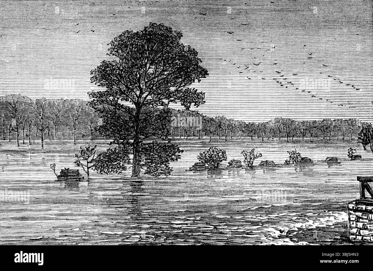 Inondazioni negli Stati Uniti: Cumberland River, dal ponte ferroviario, 1874. "Il gonfiore e il traboccare del fiume Cumberland, un mese fa, ha presentato uno spettacolo straordinario... siamo in debito con il dottor D. F. Wright, di quella città, e con il suo vicino, Mr. M'Cormac, l'abile fotografo, per le quattro viste mostrate nelle nostre incisioni...[questo] rappresenta lo spreco di acque viste dal ponte ferroviario, guardando obliquamente attraverso e giù il fiume. La fila di binari di recinzione, impilati in grumi, segna la linea di quelle che vengono chiamate "sponde del fiume", essendo collocate circa dieci o dodici metri Foto Stock