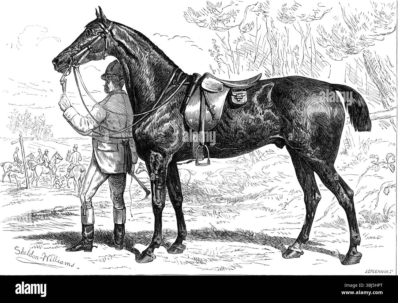 The Horse Show at the Agricultural Hall, Islington: Mr. W. Armstrong's Hunter, "Cassa", 1874. "Le prodezze degli ultimi due giorni, il giovedì e il venerdì, hanno attirato un gran numero di spettatori. I giudici delle diverse classi erano il marchese di Waterford, il conte di Shannon, Sir G. Wombwell, Bart., il colonnello Luttrell, il colonnello Kingscote, C.B., M.P., e il colonnello Ashley Maude, M.P., questi signori dovevano decidere i meriti di cacciatori che trasportavano peso e altri cacciatori, cavalli da equitazione, hack di copertura e roadster, hack di parco e cavalli da donna, cavalli da imbracatura, pannocchie di parco, pony, stal Foto Stock